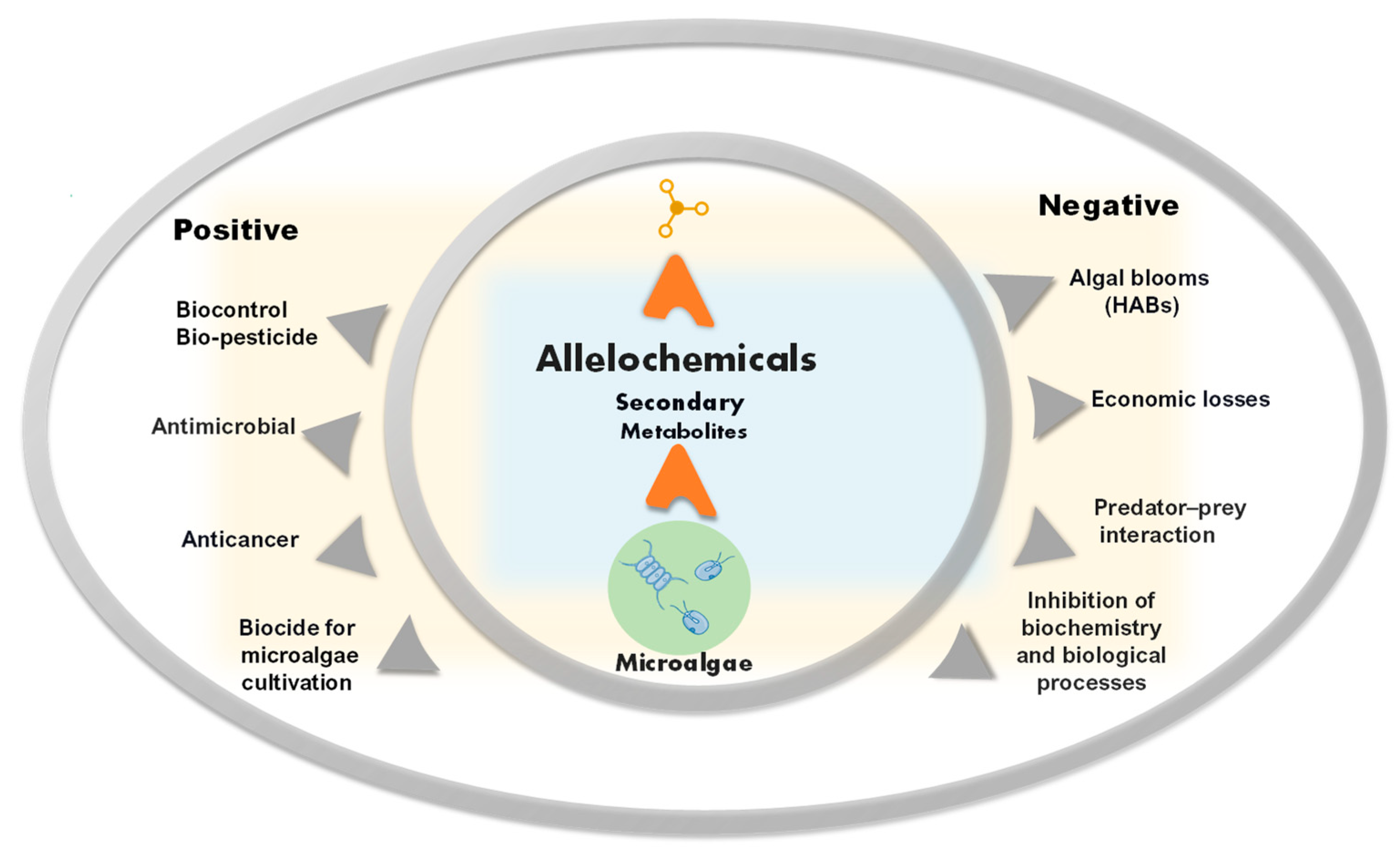 Plants 12 01896 g001