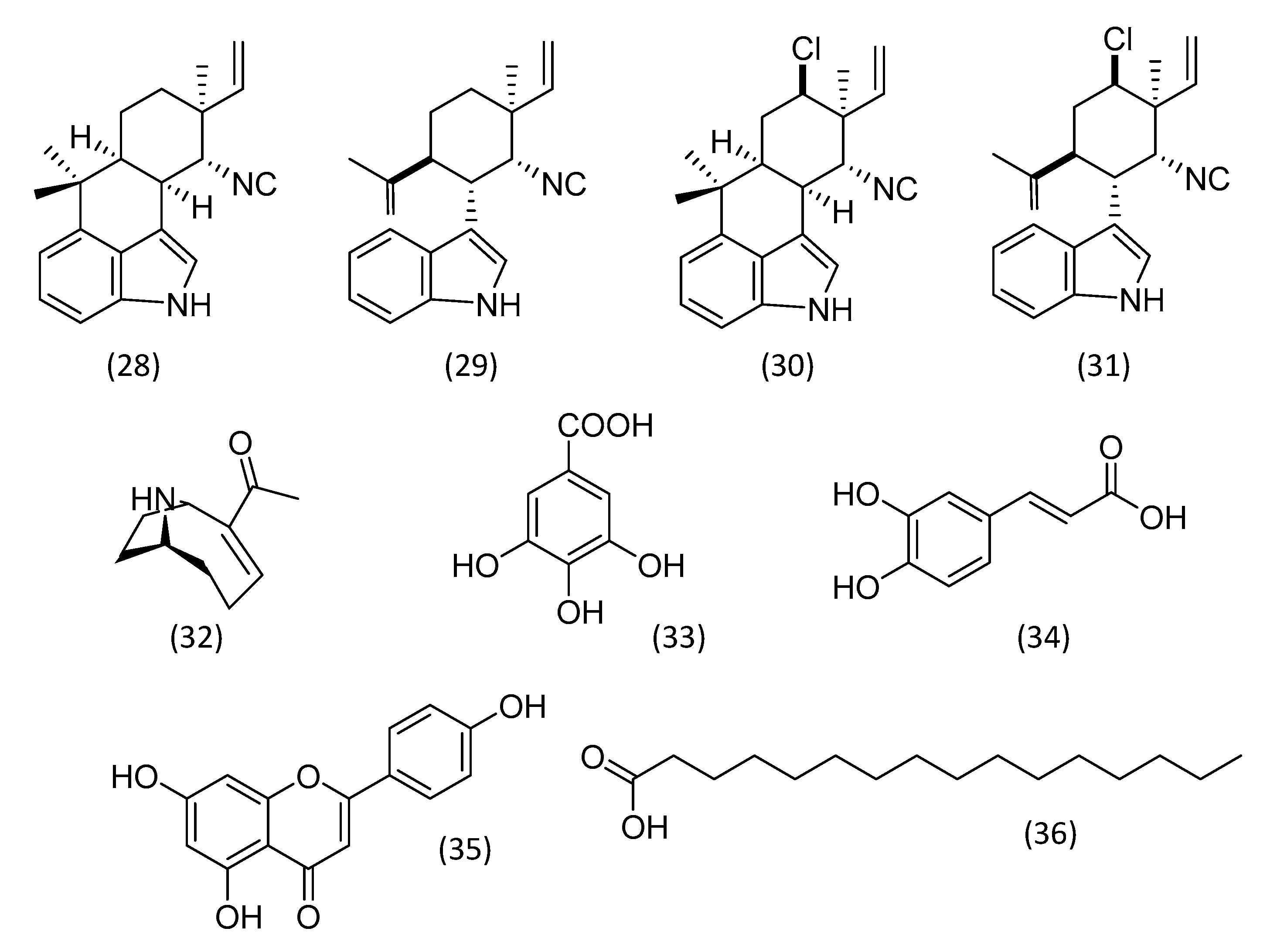 Plants 12 01896 g005