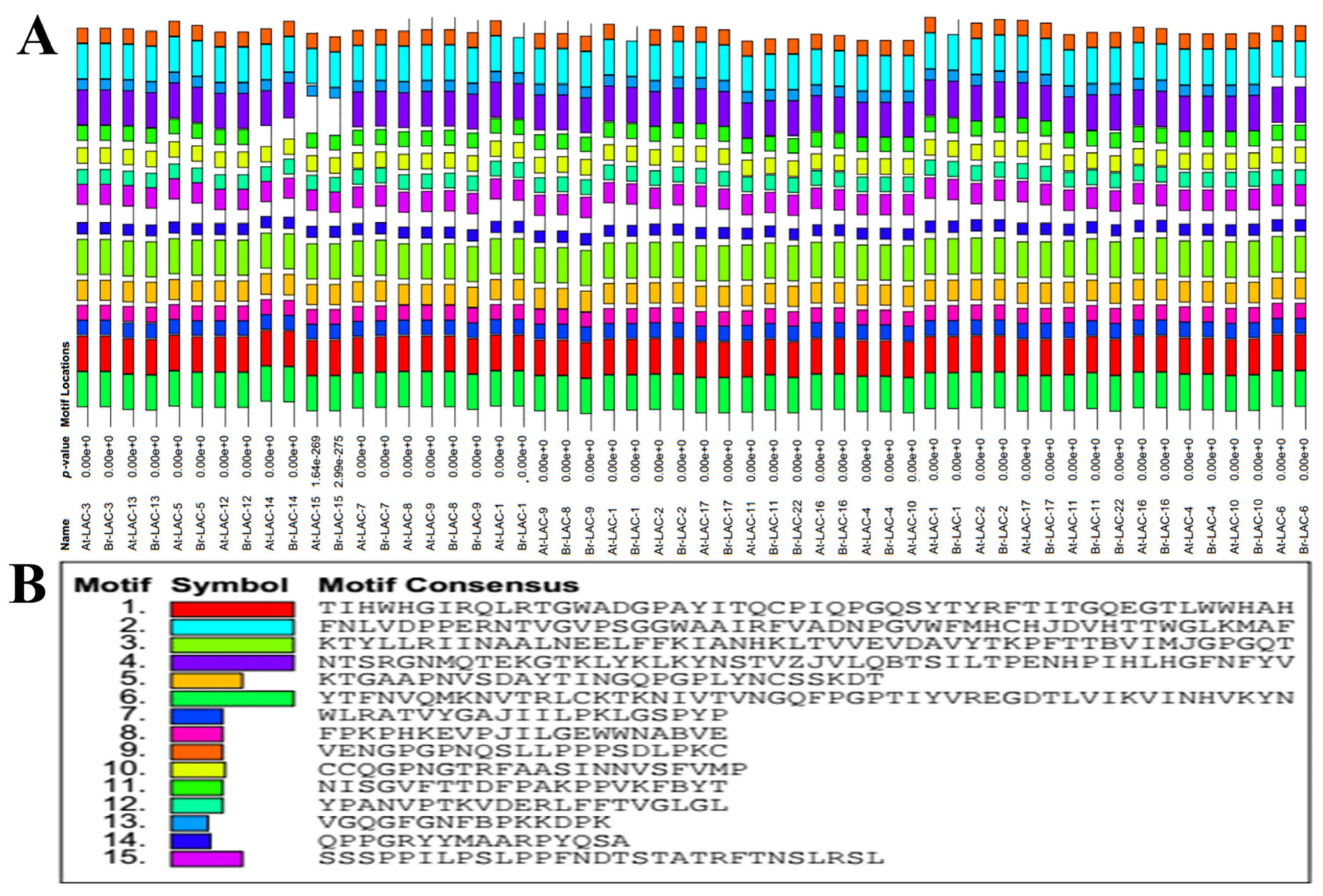 Plants 12 01904 g004 Plants 12 01904 g004
