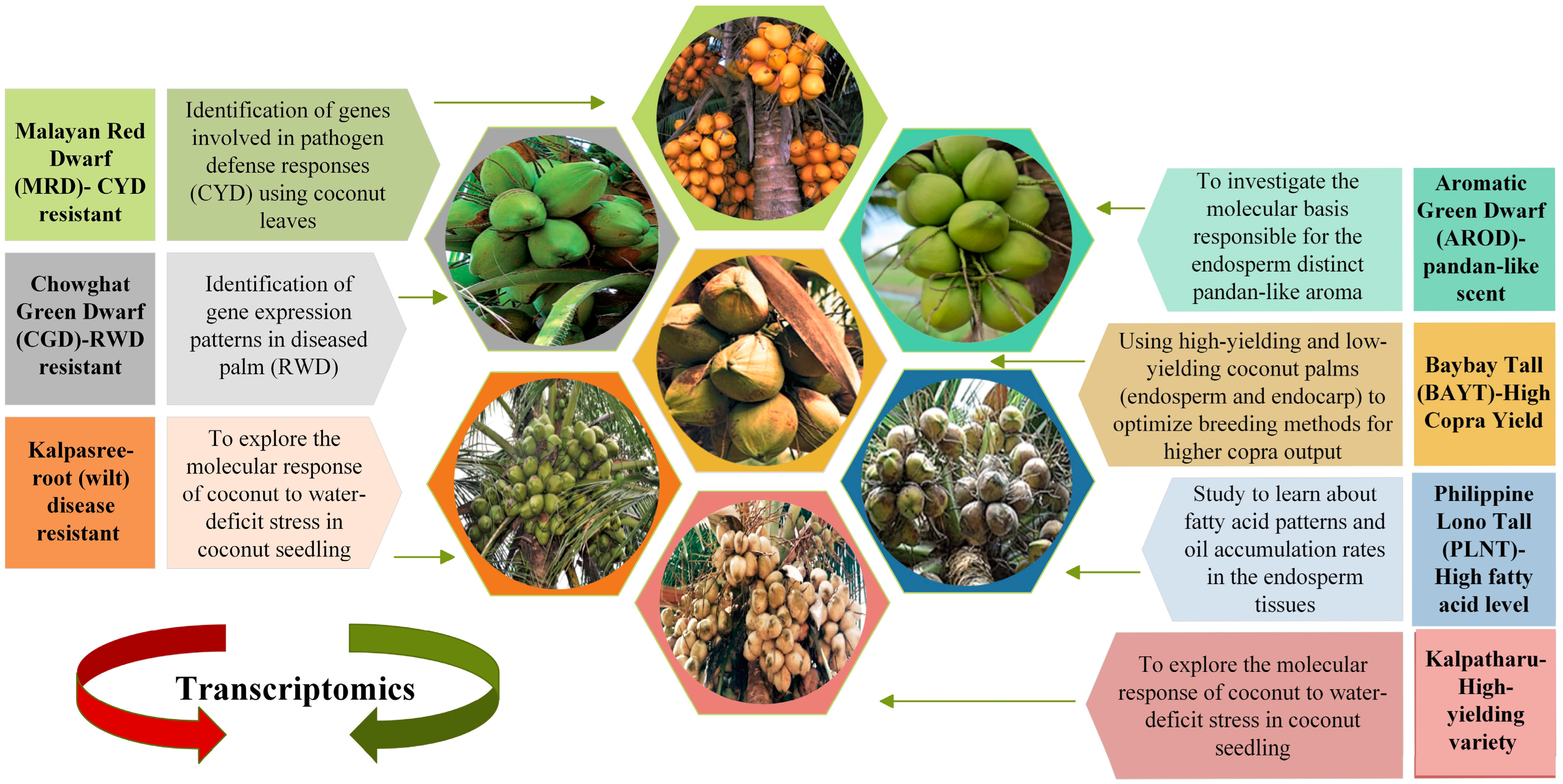 Plants 12 01913 g002