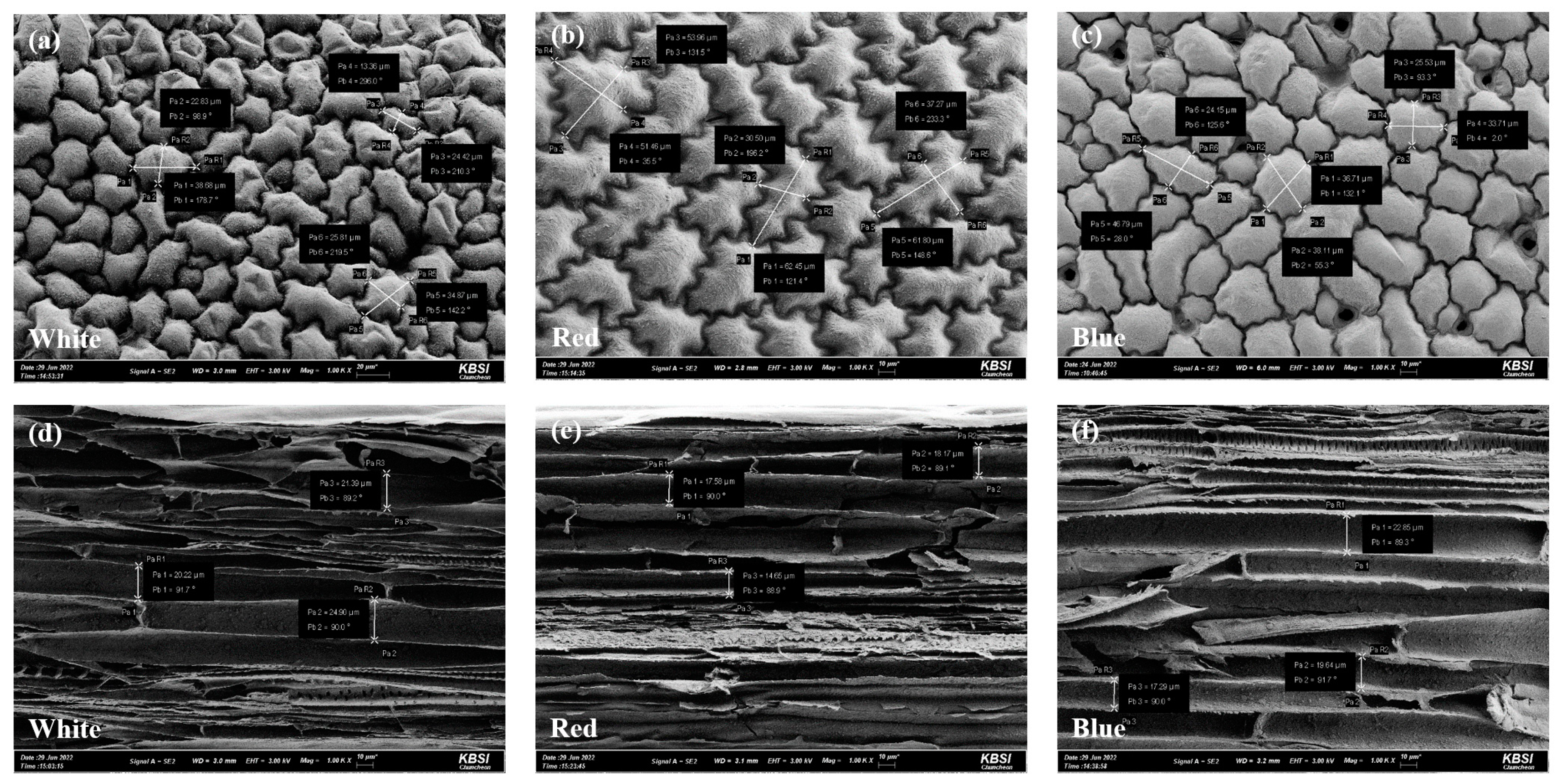 Plants 12 01914 g001