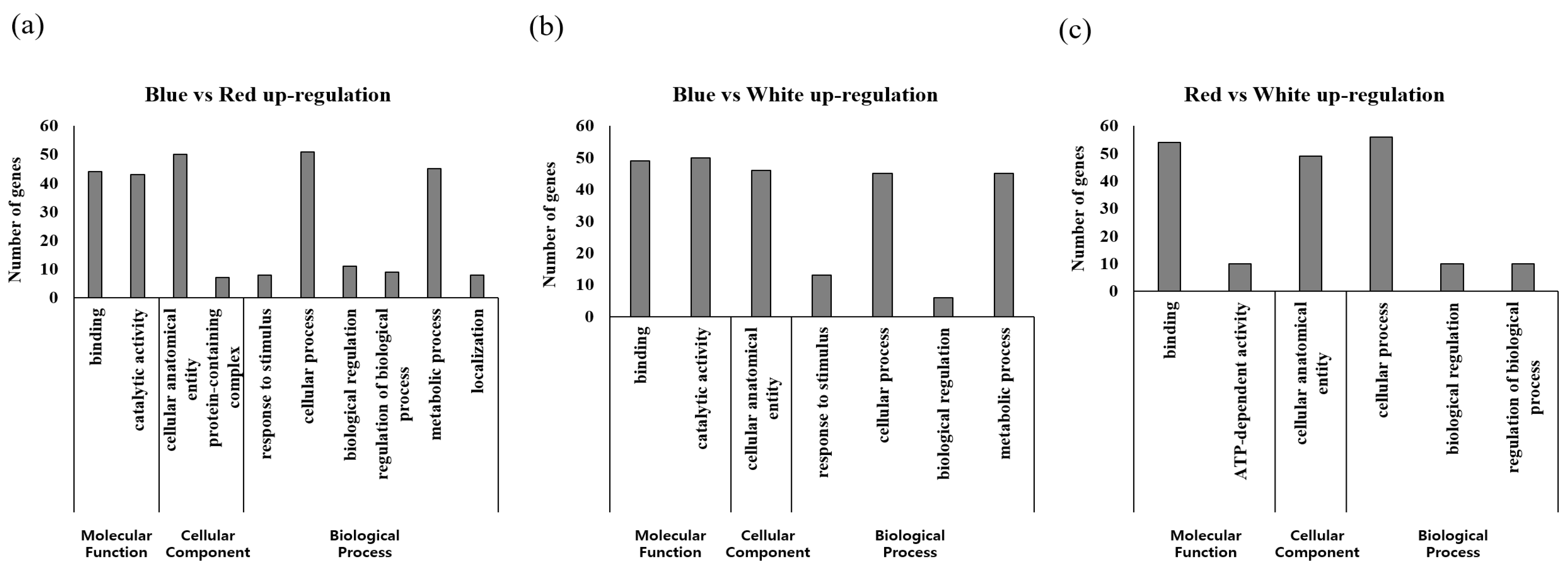 Plants 12 01914 g003