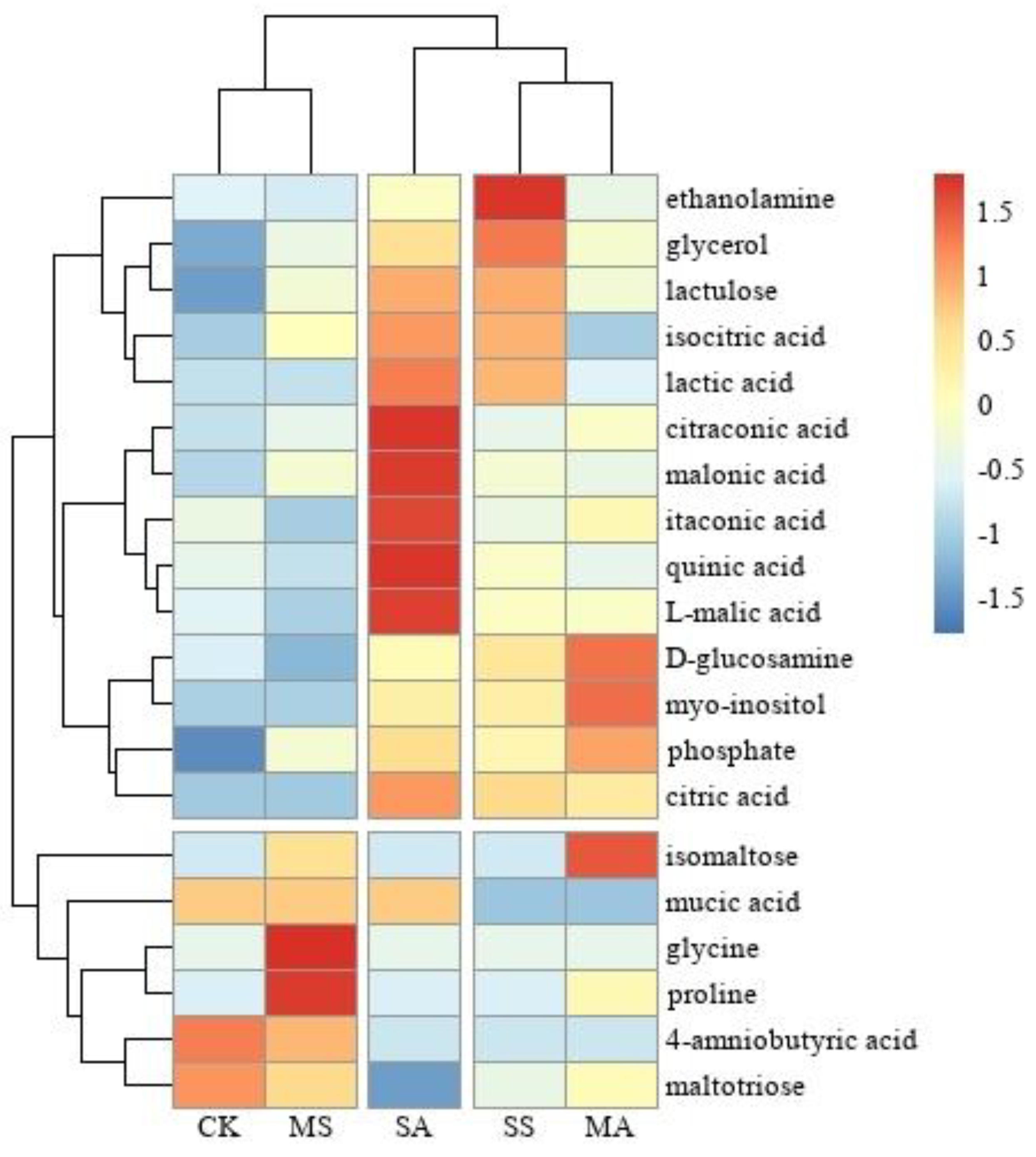 Plants 12 01916 g006