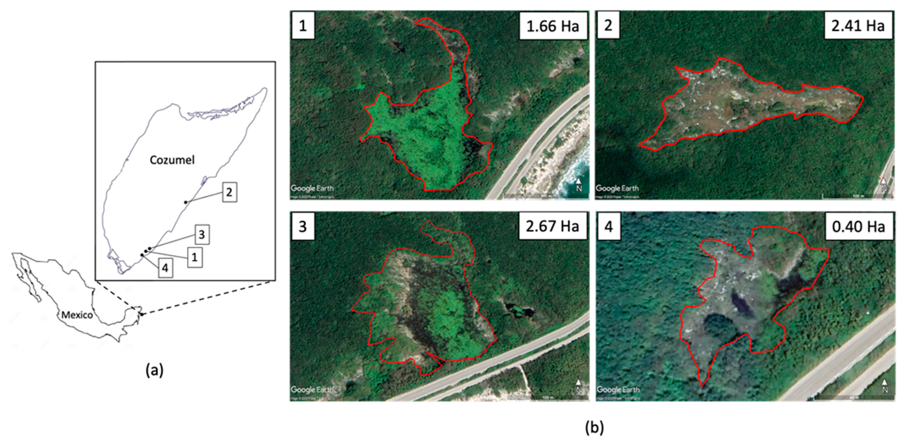 Plants 12 01918 g005 Plants 12 01918 g005