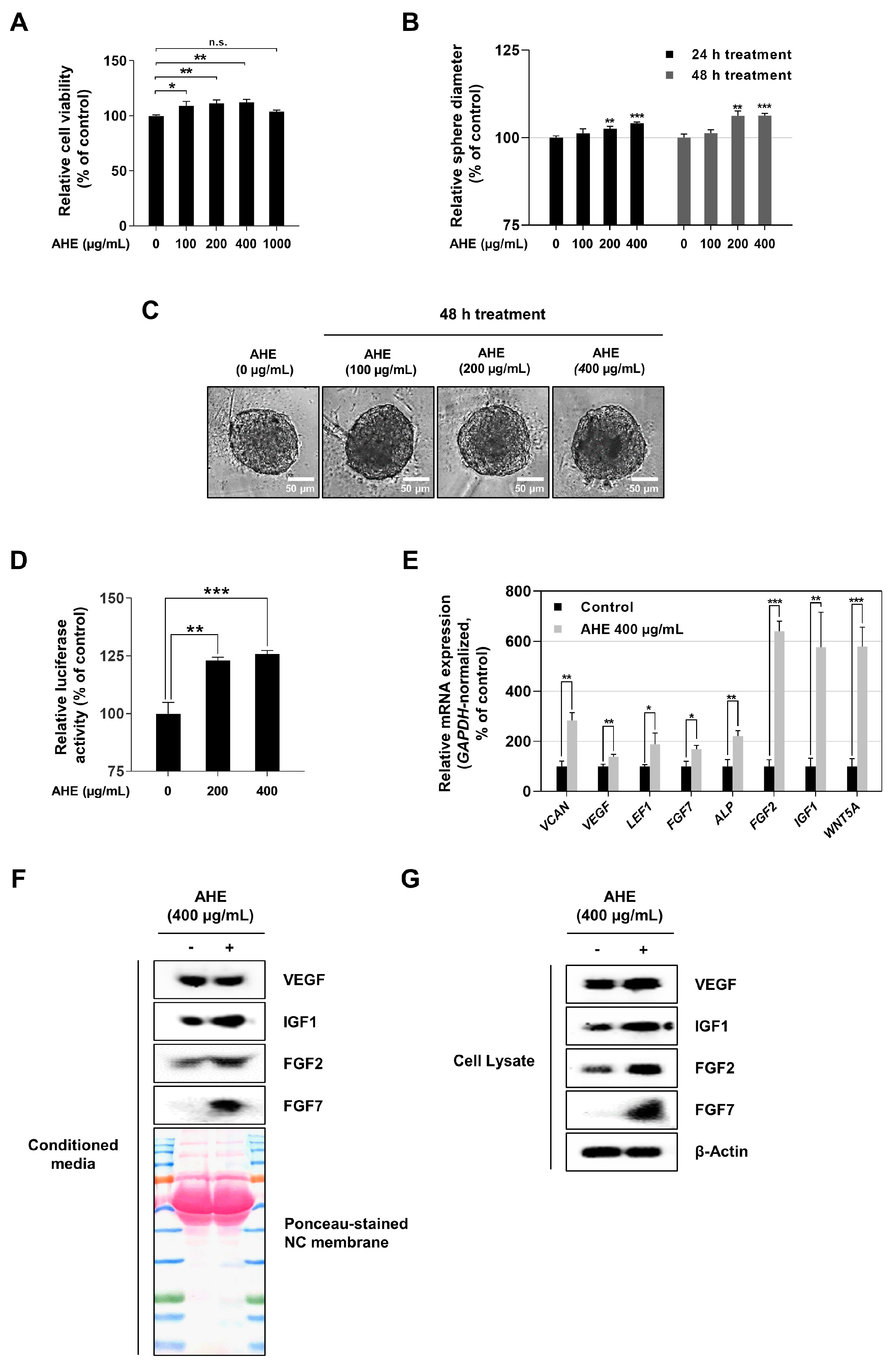 Plants 12 01919 g001