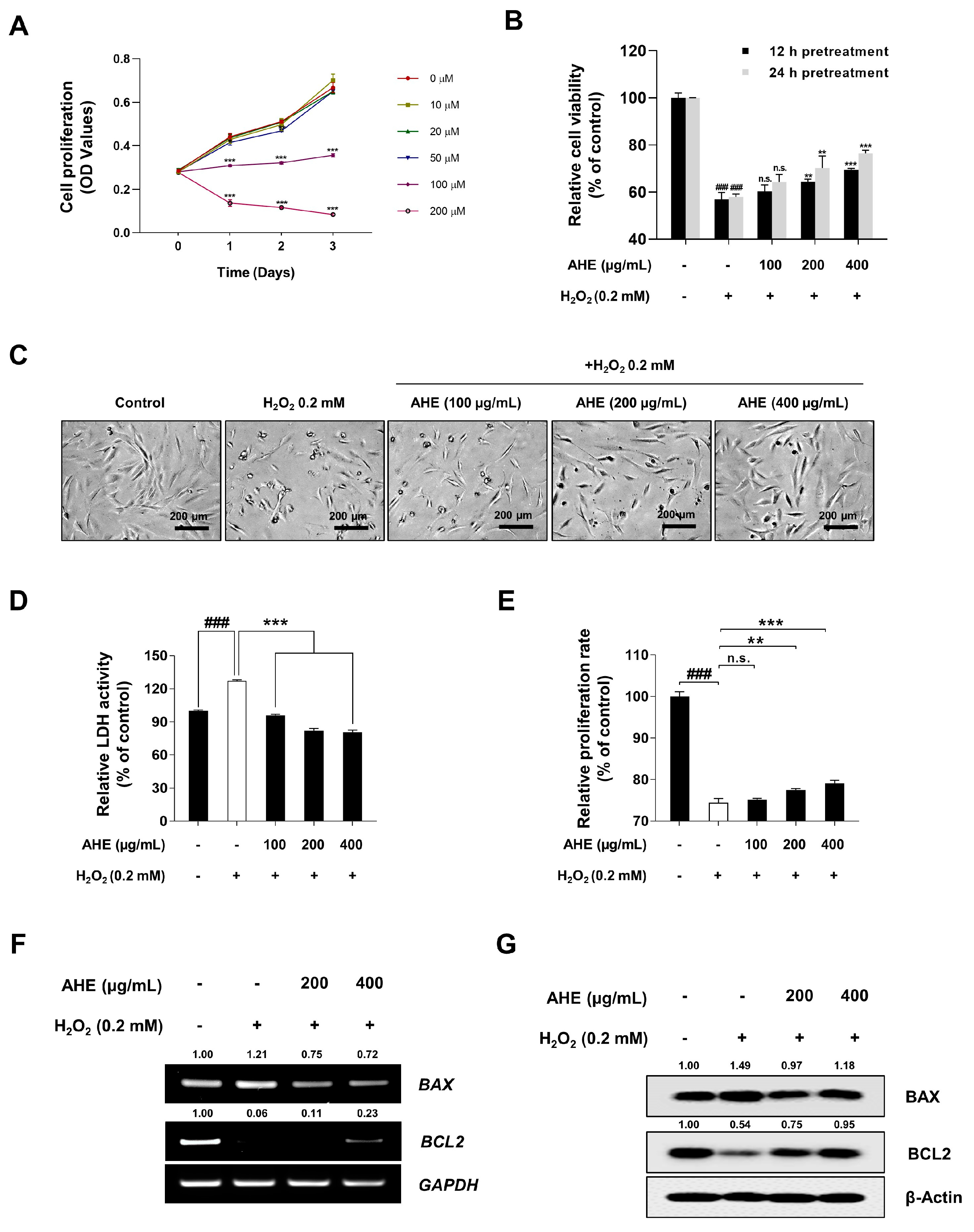 Plants 12 01919 g003