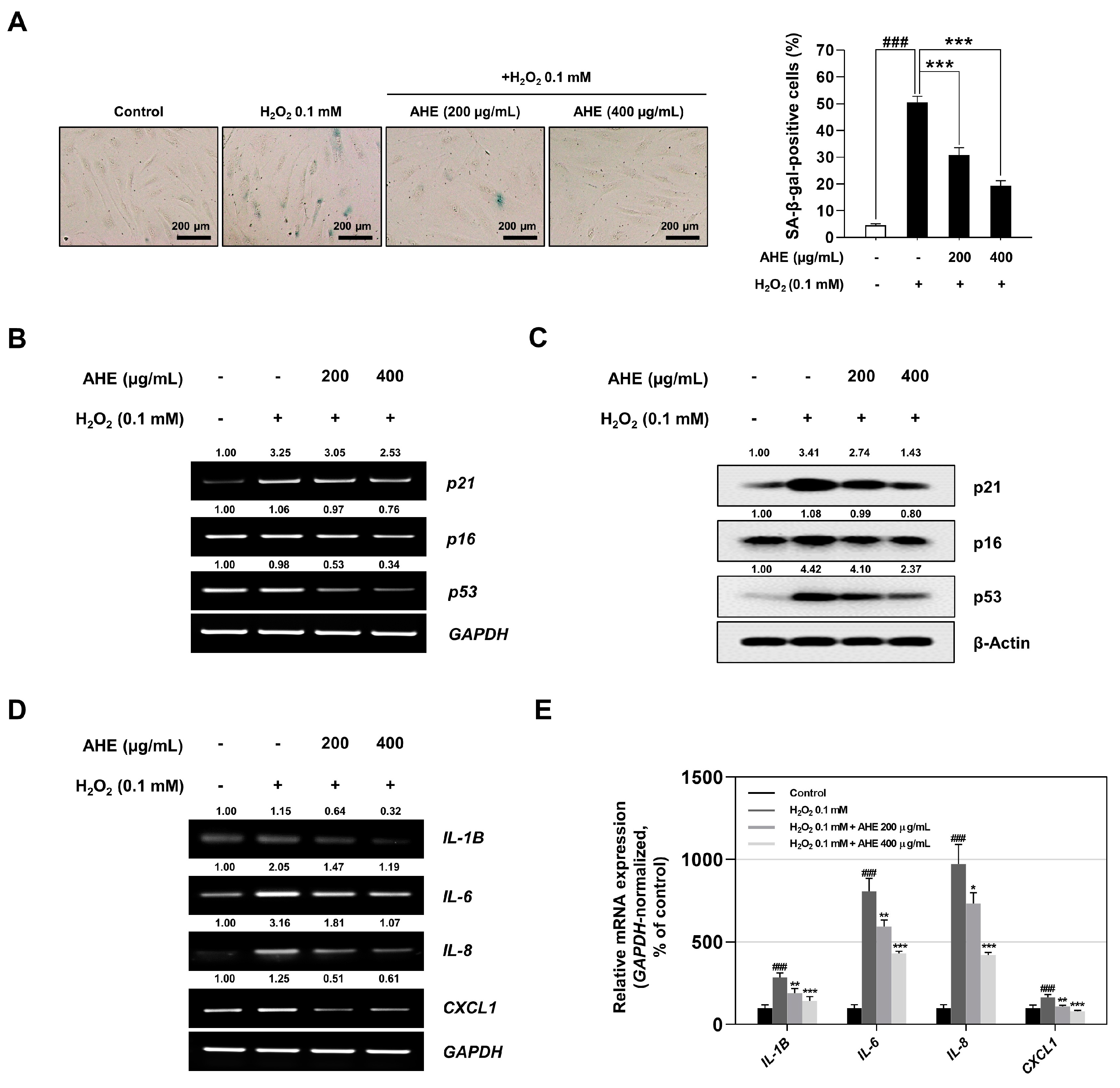 Plants 12 01919 g004