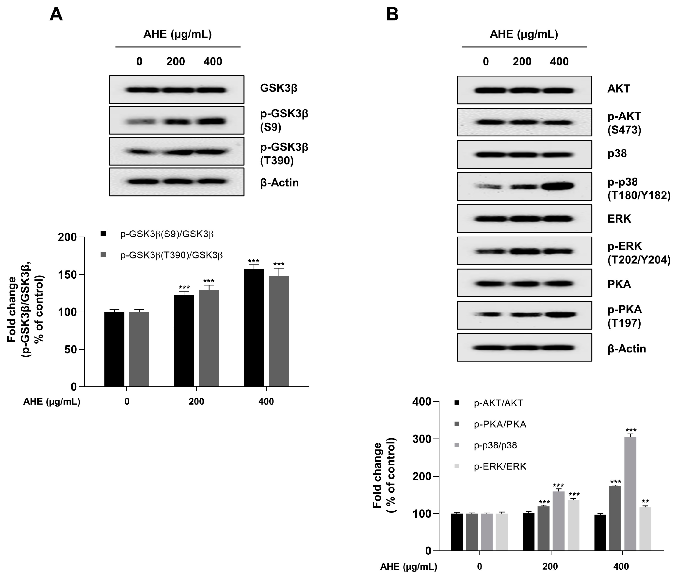 Plants 12 01919 g006