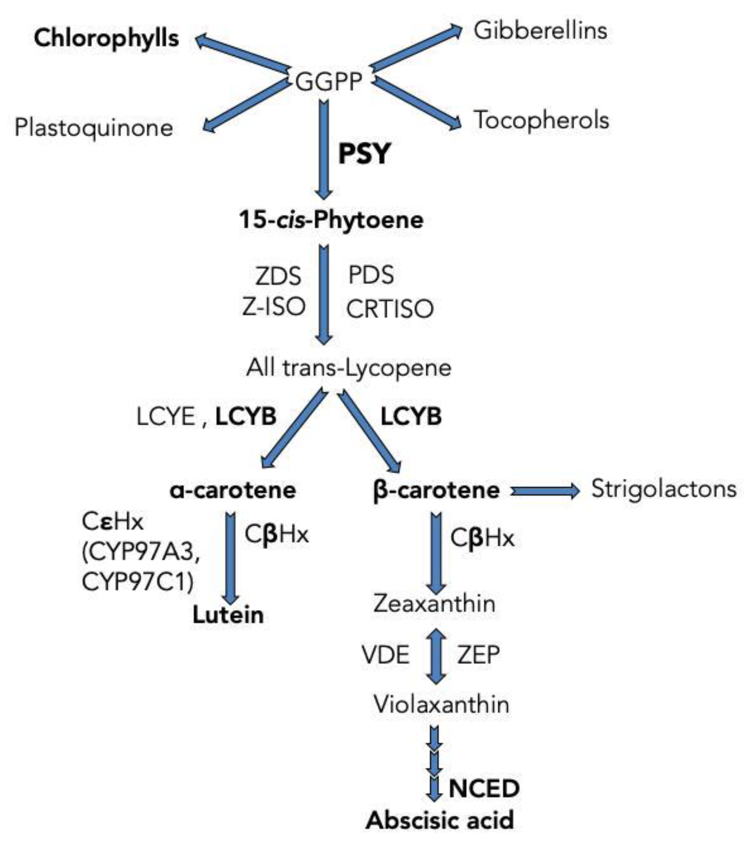 Plants 12 01925 g001 Plants 12 01925 g001