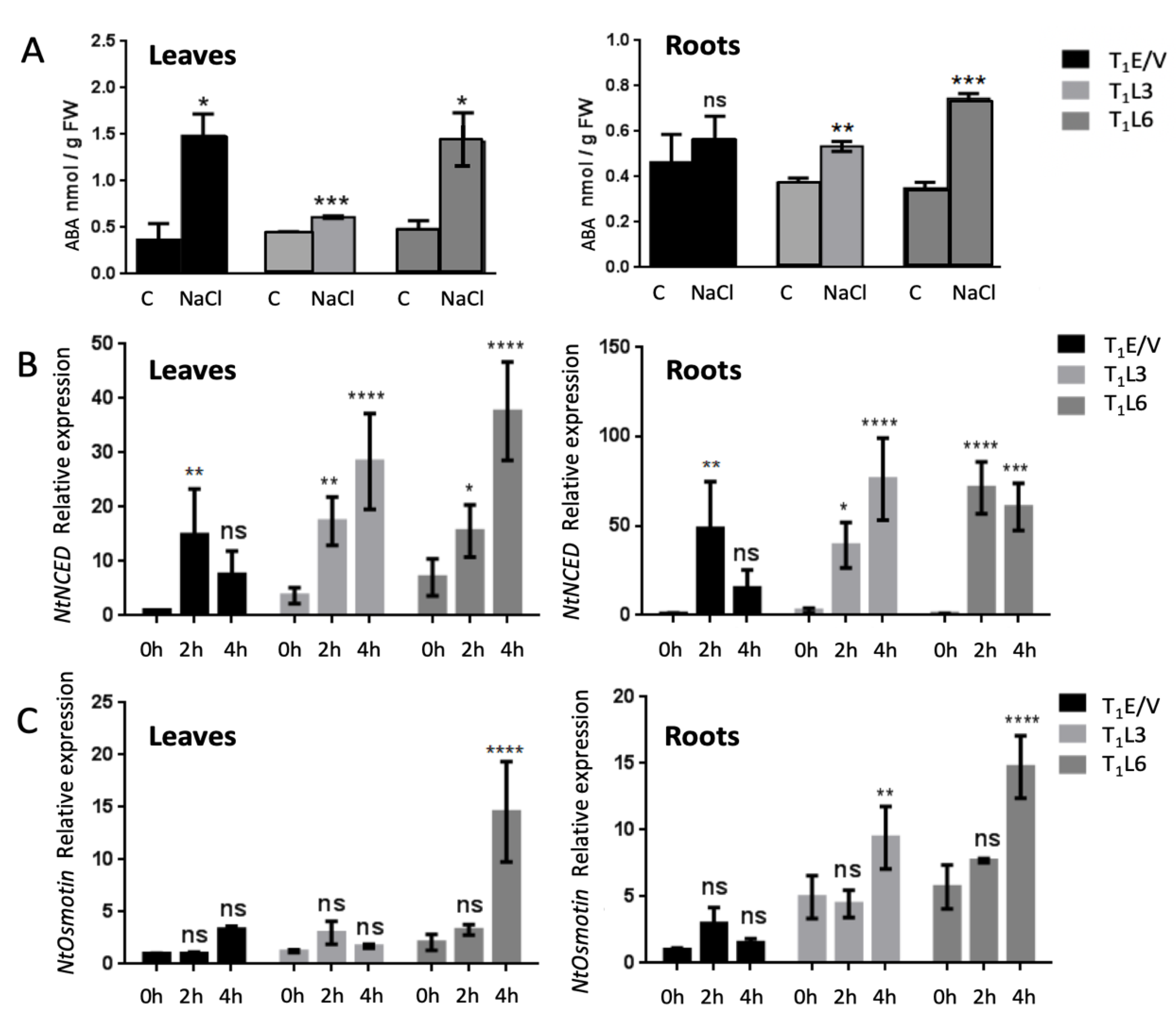 Plants 12 01925 g005 Plants 12 01925 g005