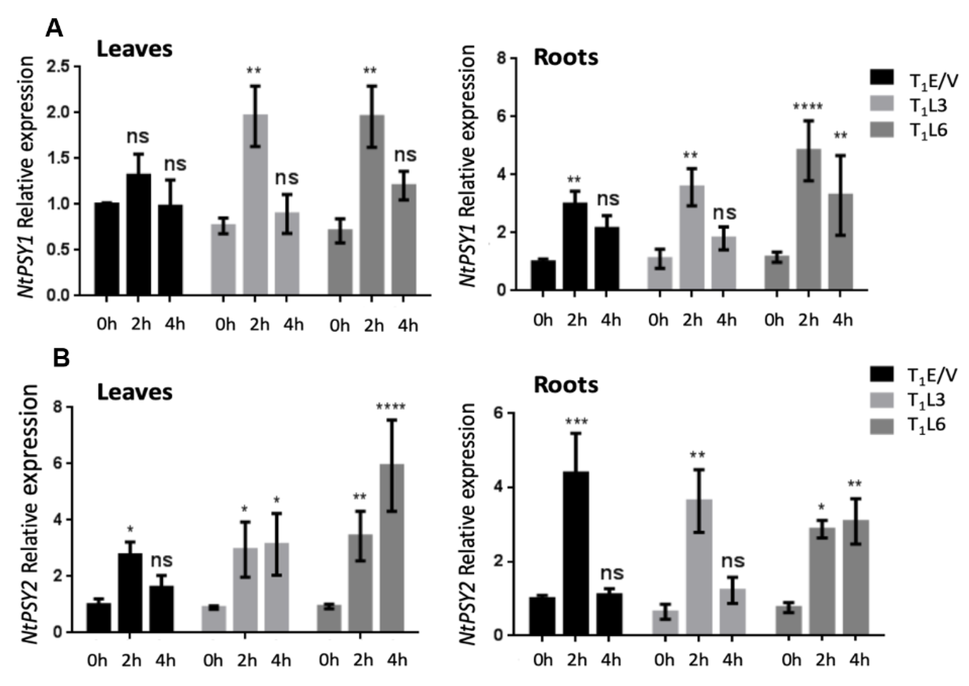 Plants 12 01925 g006 Plants 12 01925 g006