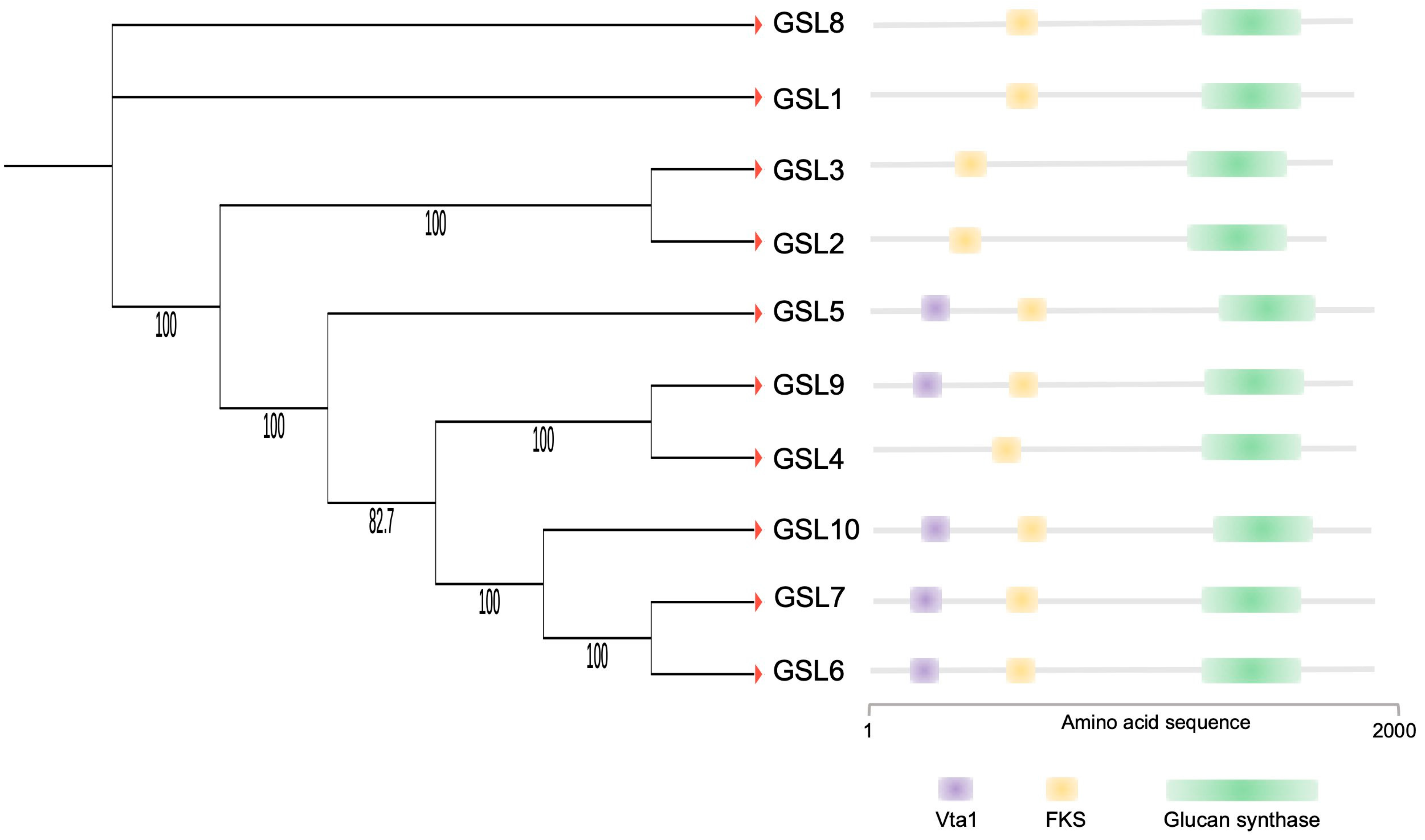 Plants 12 01936 g005 Plants 12 01936 g005