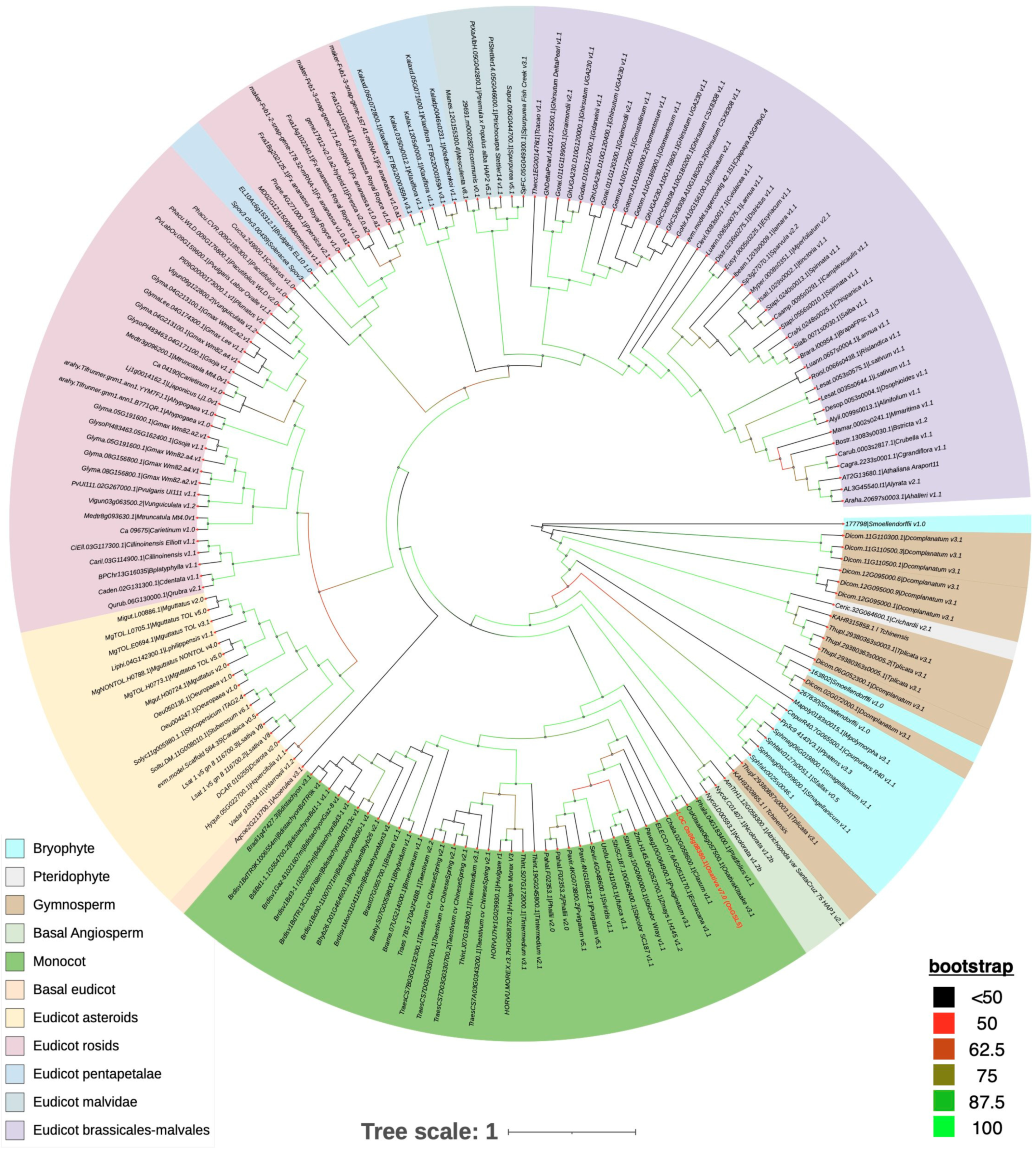 Plants 12 01936 g006 Plants 12 01936 g006