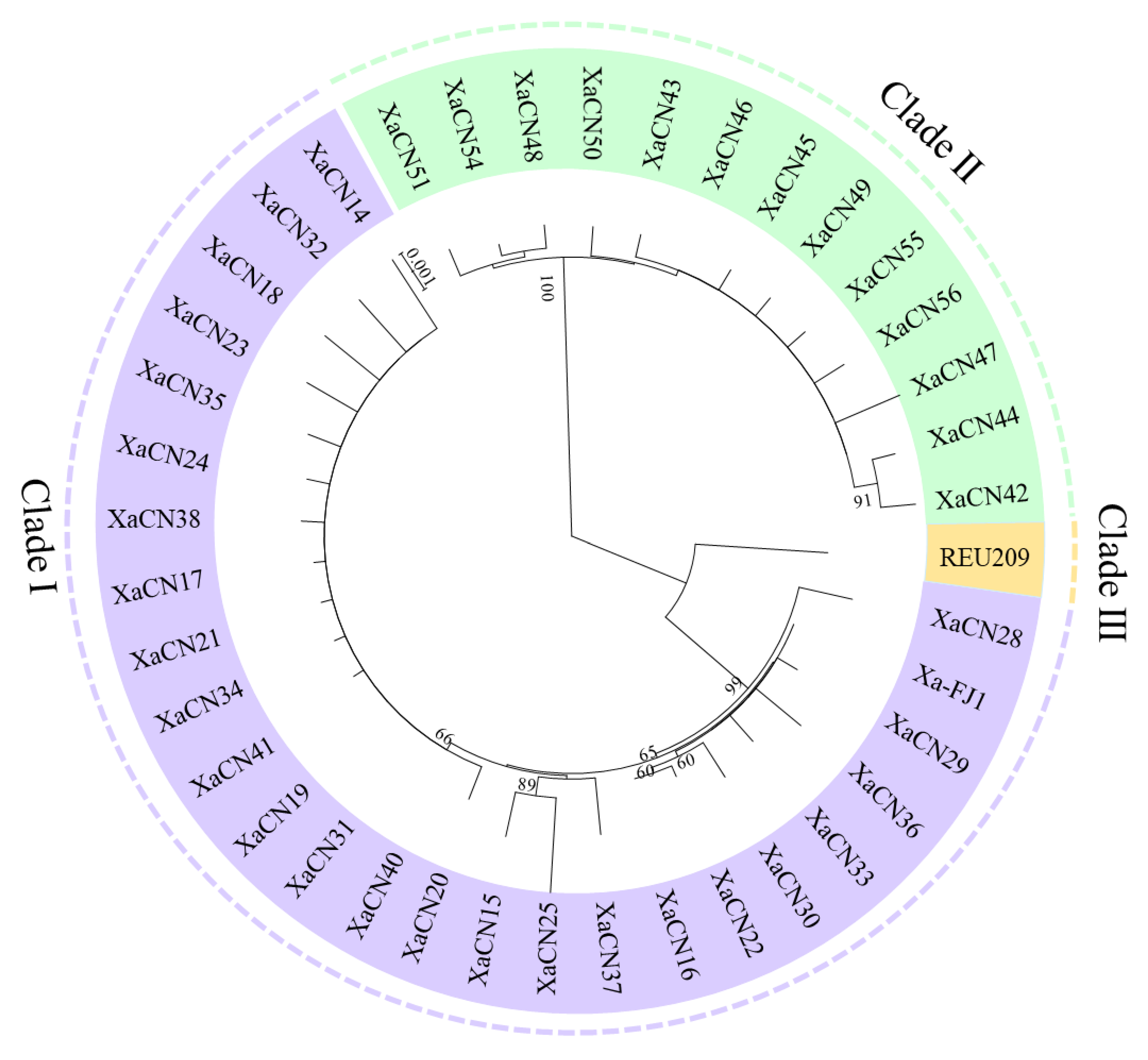 Plants 12 01937 g001 Plants 12 01937 g001