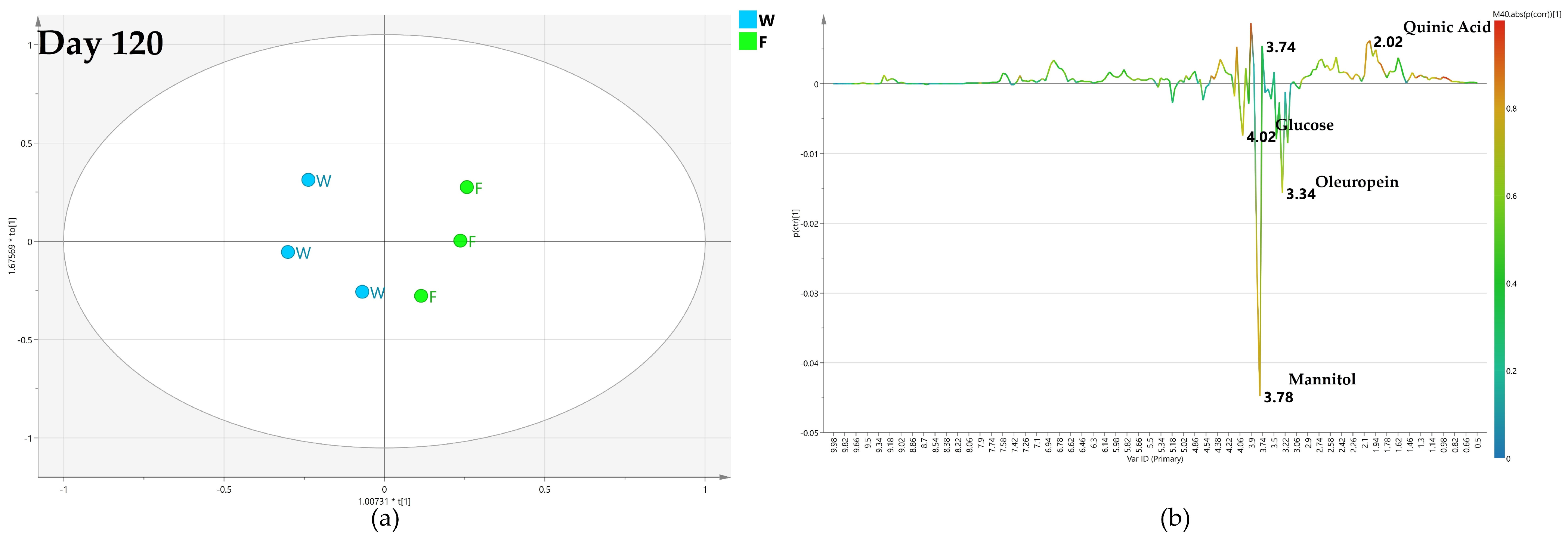 Plants 12 01946 g007 Plants 12 01946 g007