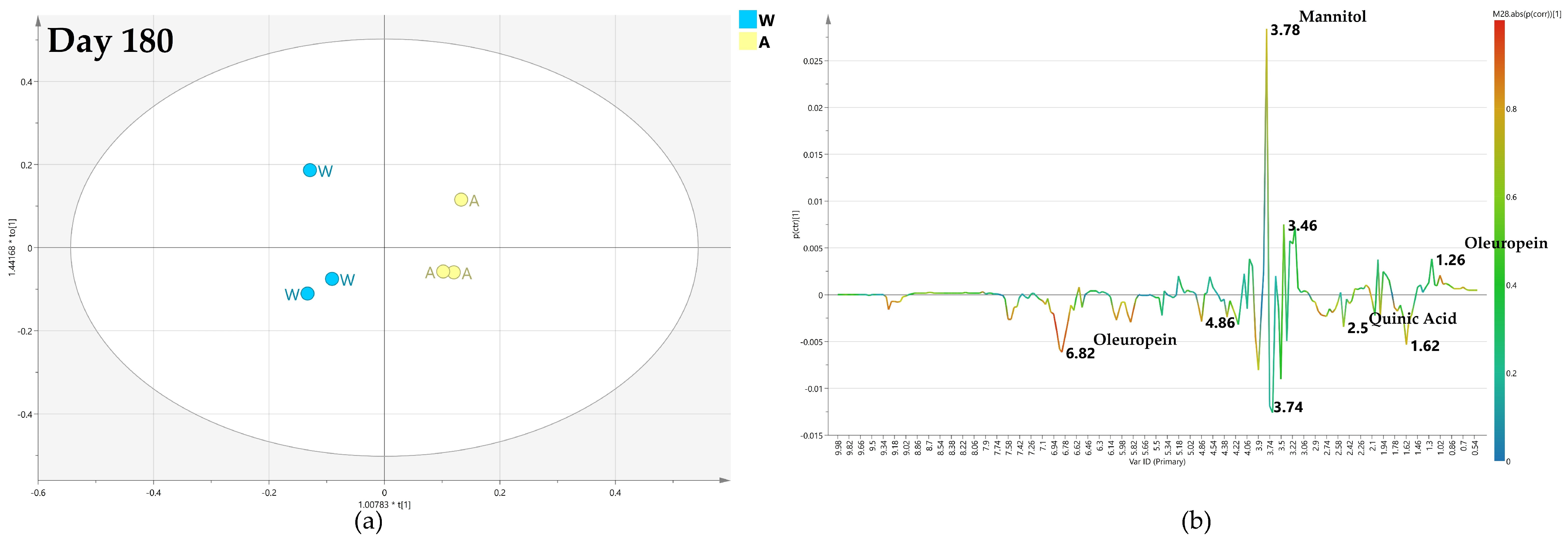 Plants 12 01946 g011 Plants 12 01946 g011
