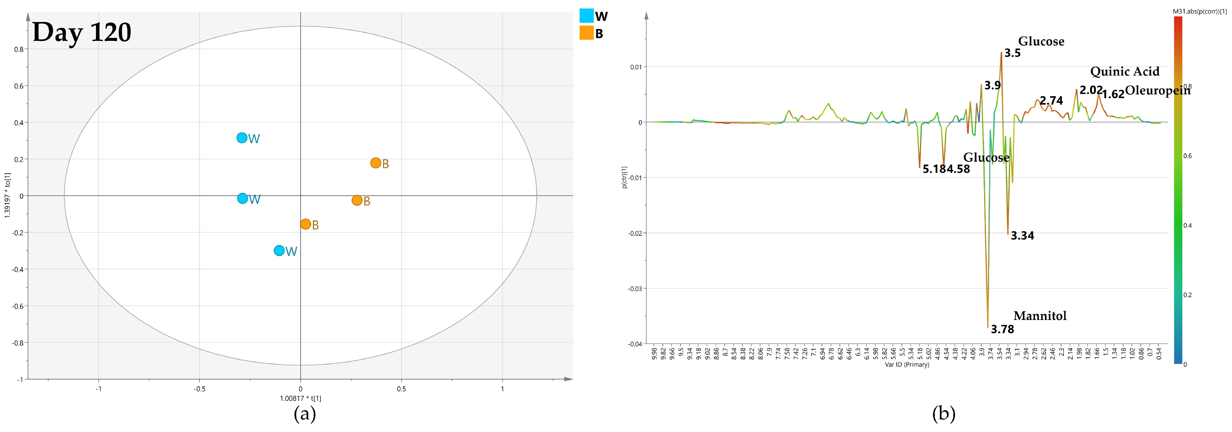 Plants 12 01946 g013 Plants 12 01946 g013