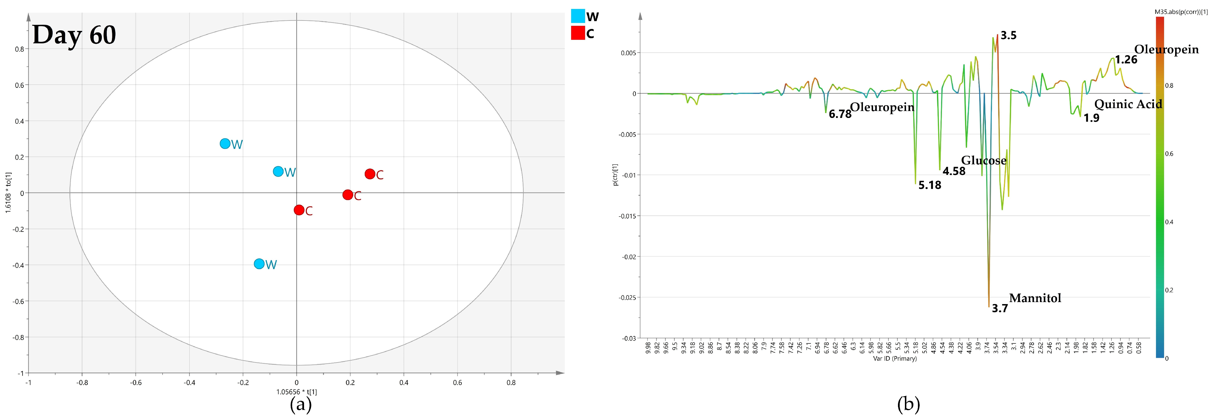 Plants 12 01946 g015 Plants 12 01946 g015