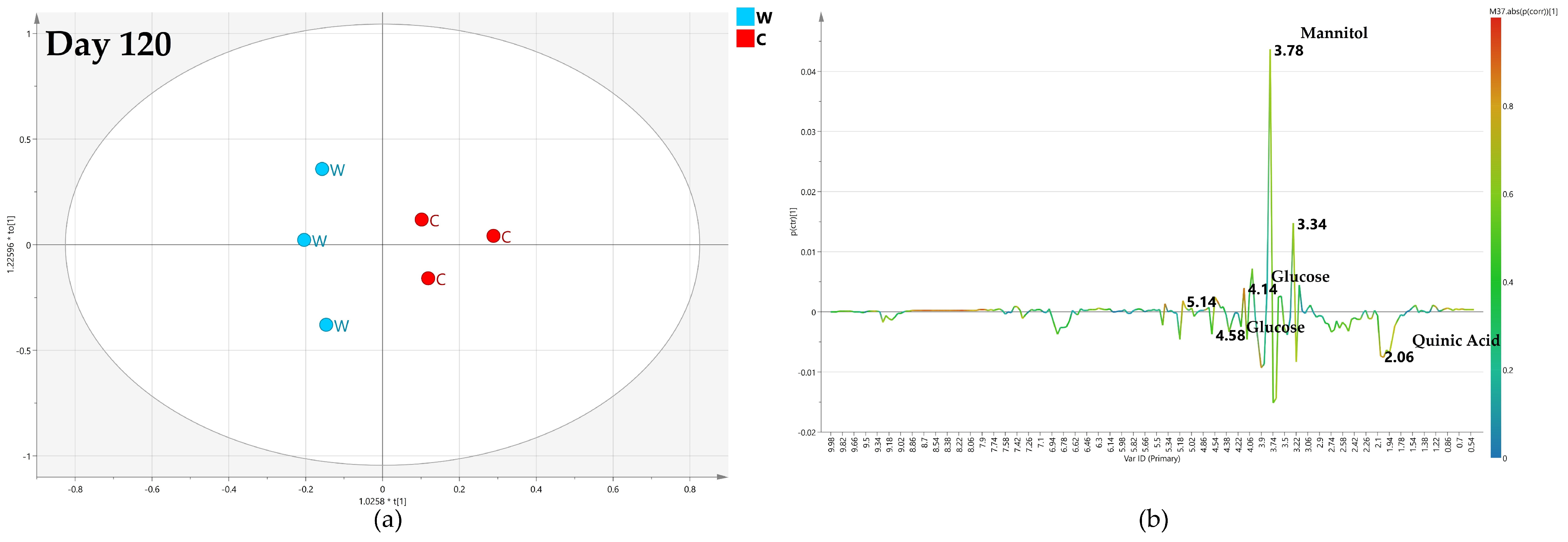 Plants 12 01946 g016 Plants 12 01946 g016
