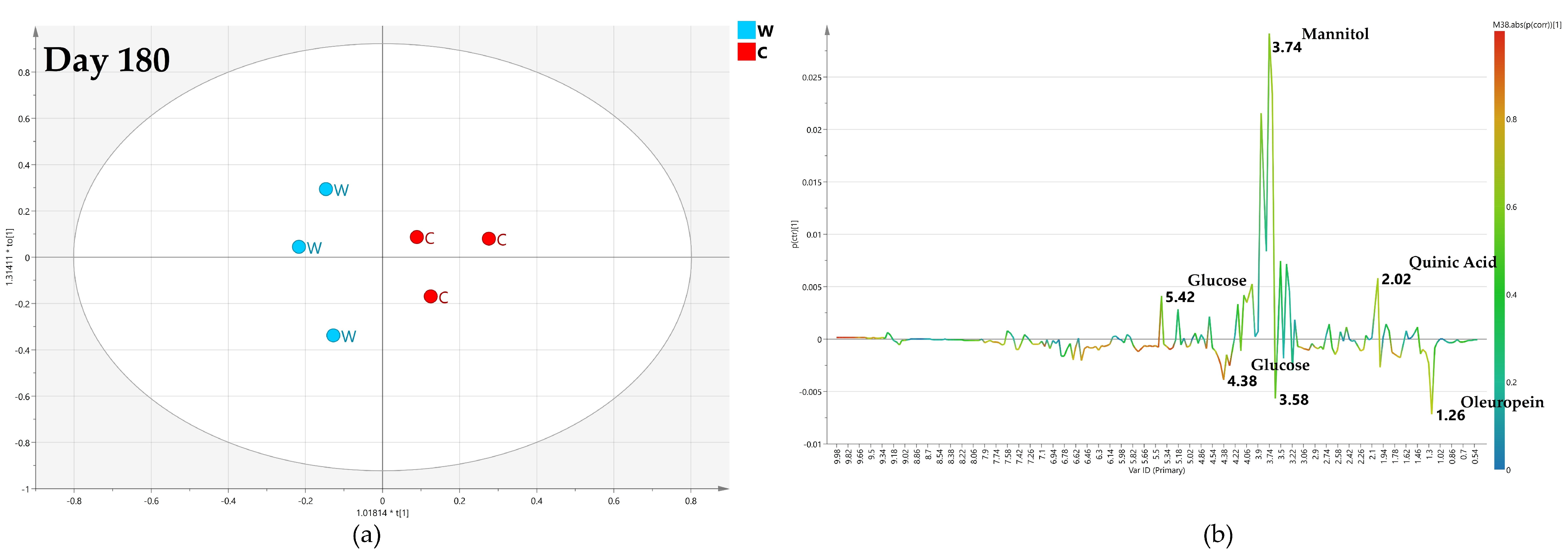 Plants 12 01946 g017 Plants 12 01946 g017
