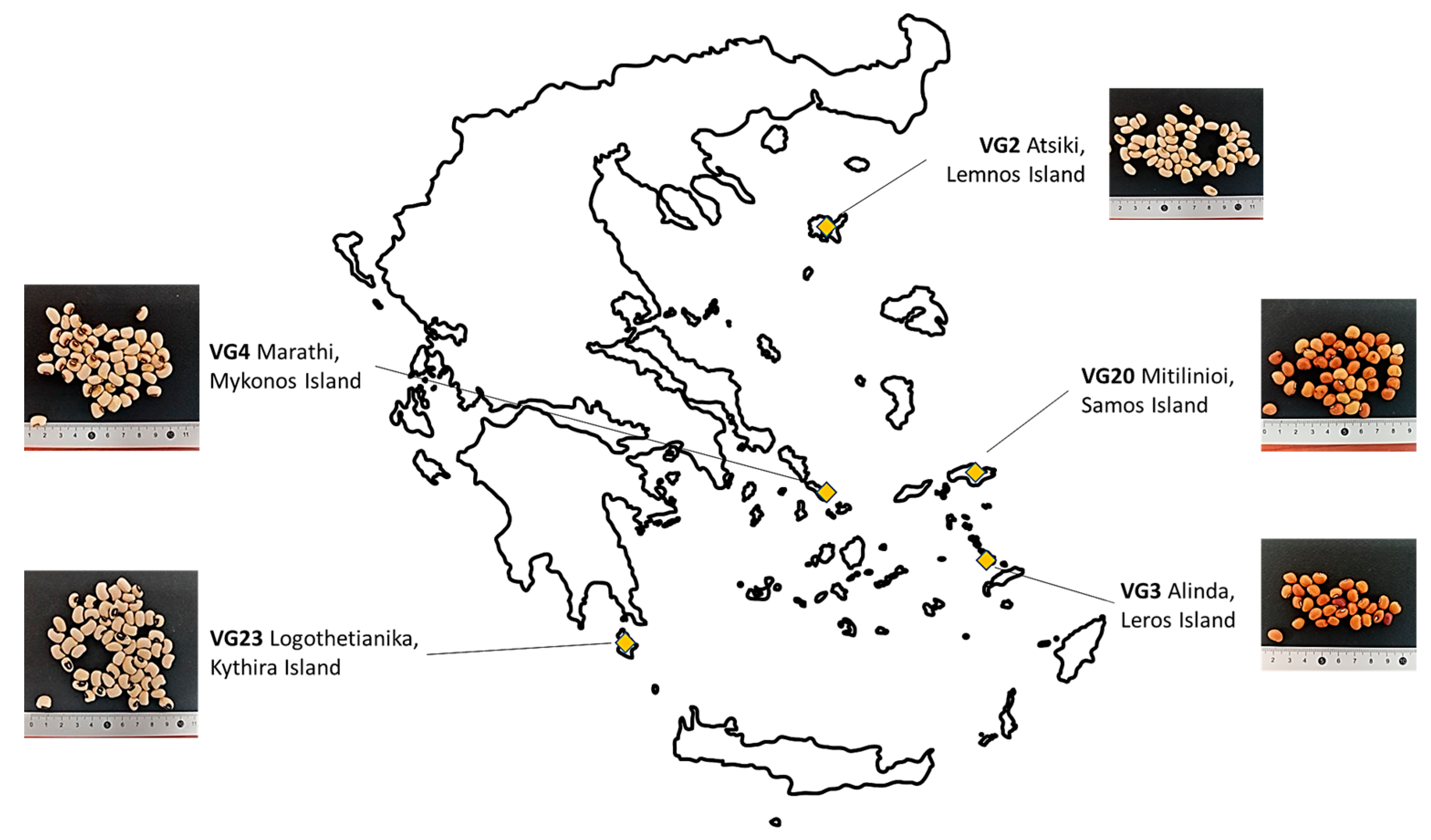 Plants 12 01947 g003