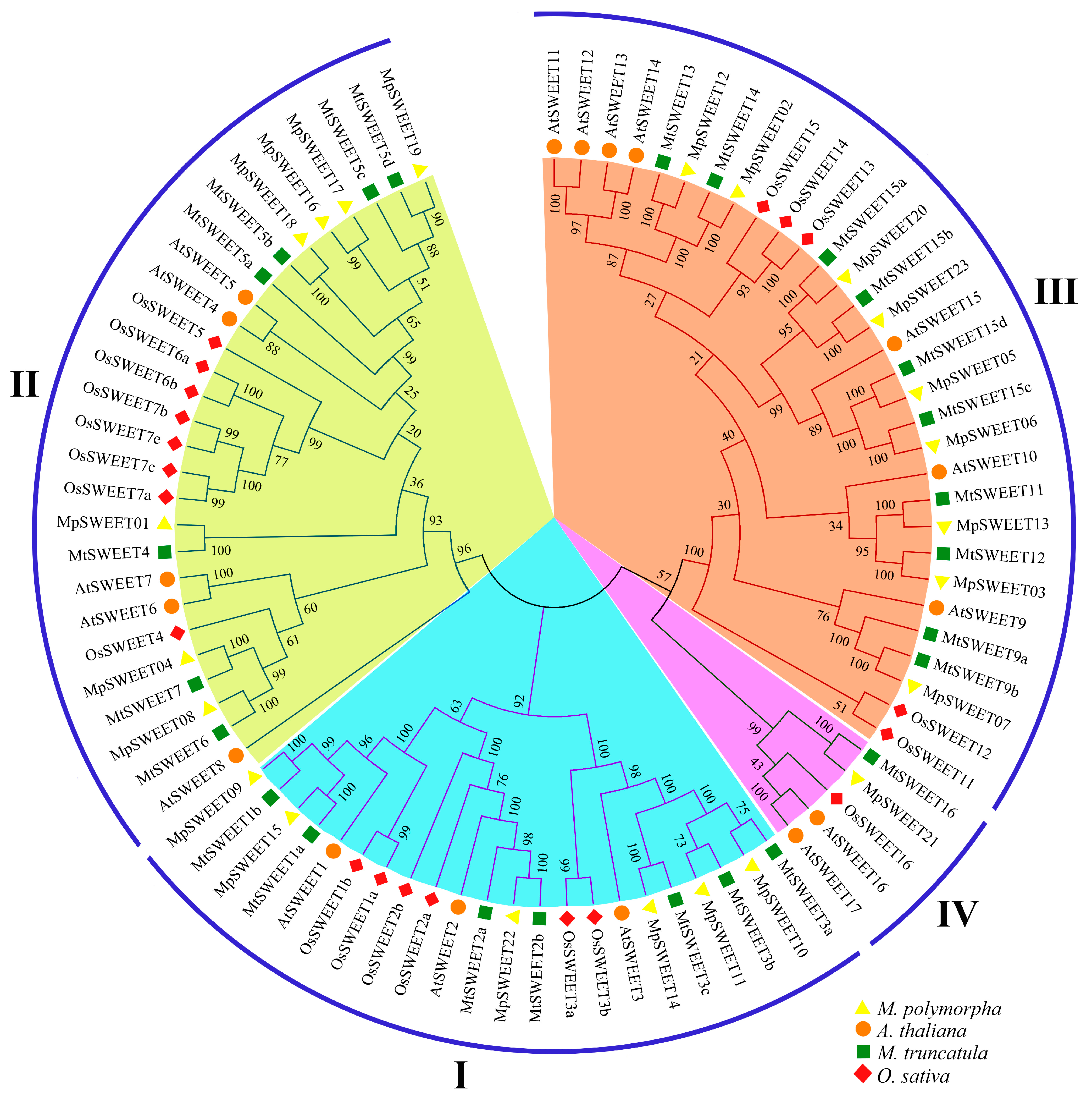 Plants 12 01948 g001 Plants 12 01948 g001