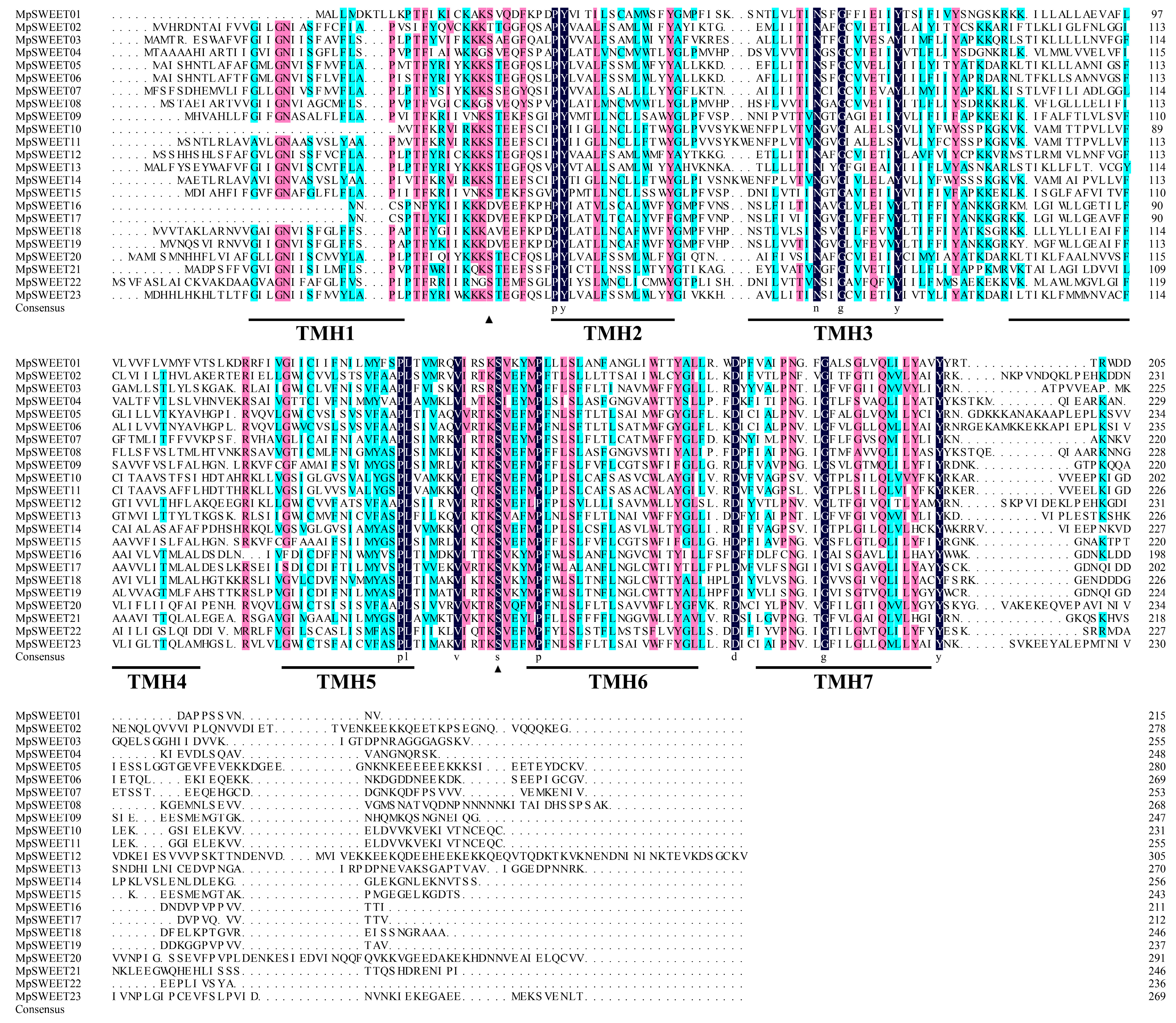 Plants 12 01948 g002 Plants 12 01948 g002