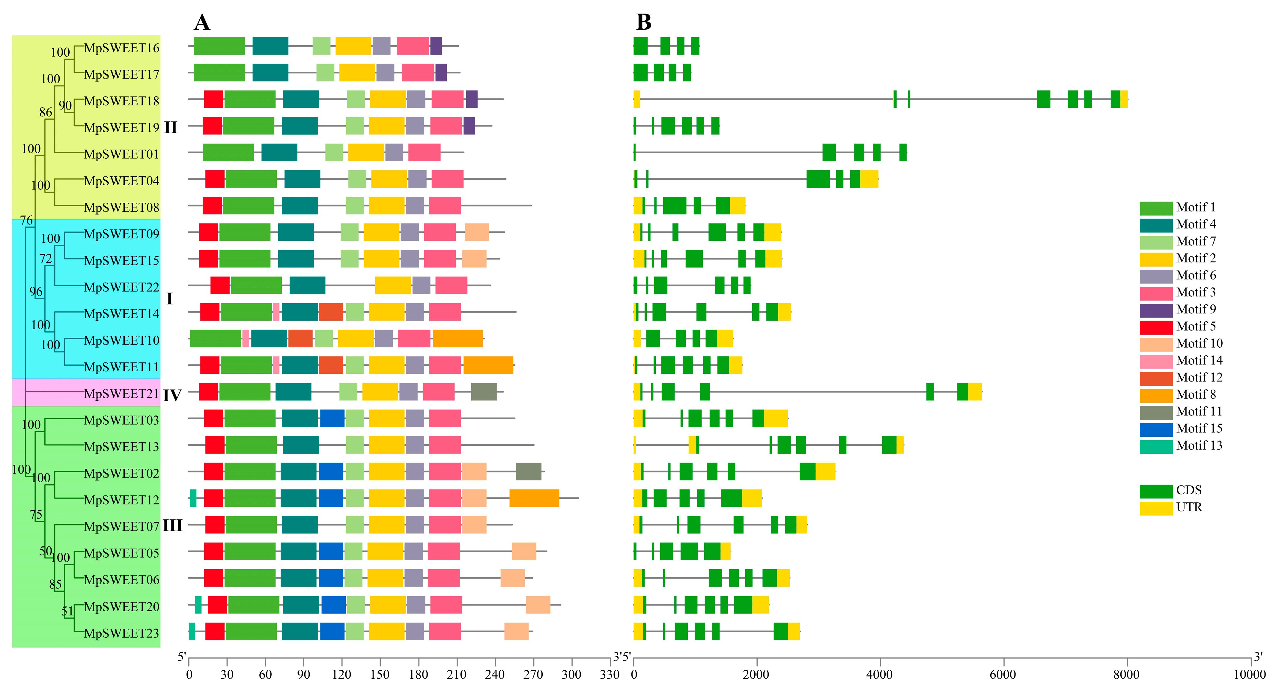 Plants 12 01948 g003 Plants 12 01948 g003