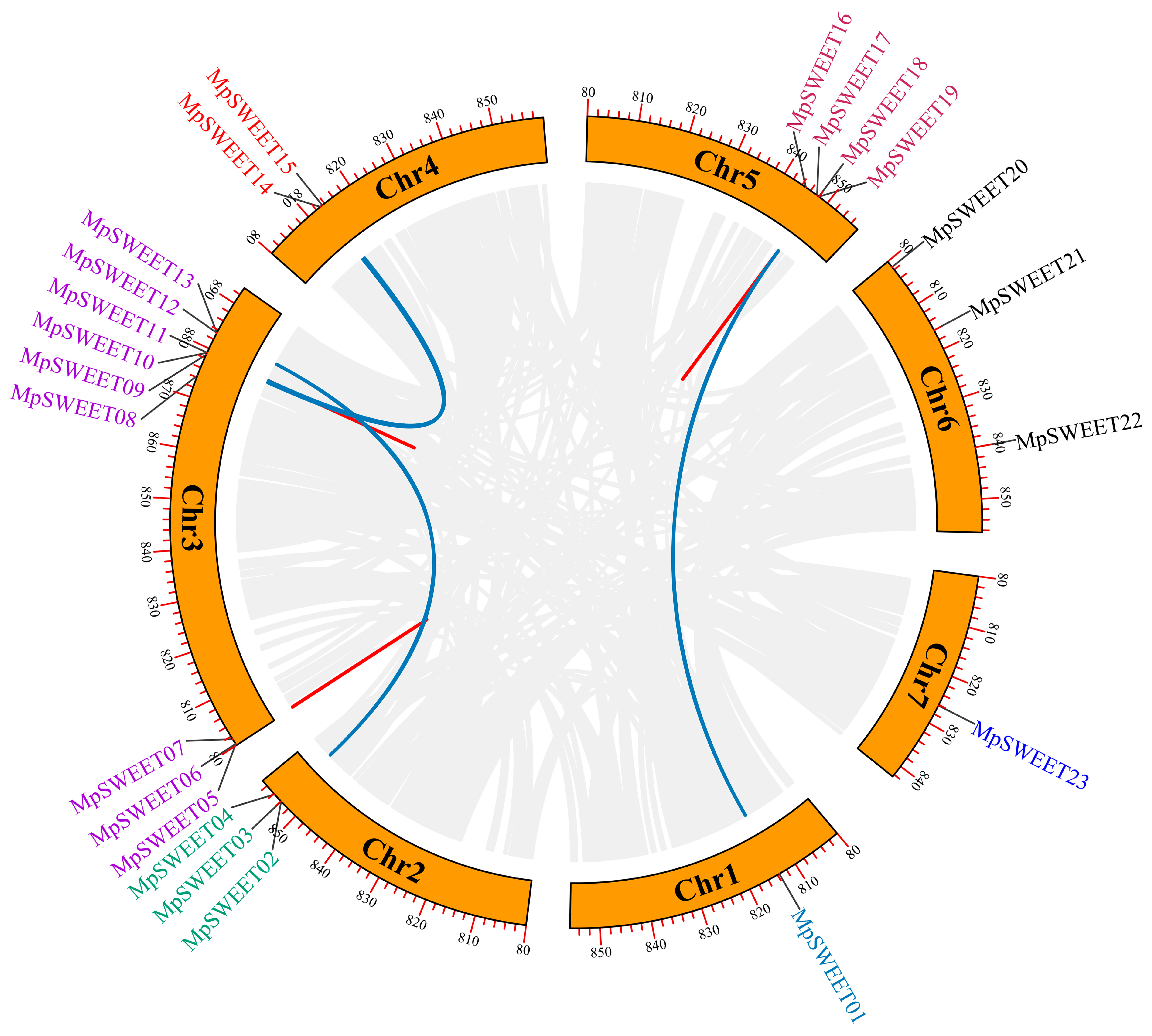 Plants 12 01948 g004 Plants 12 01948 g004