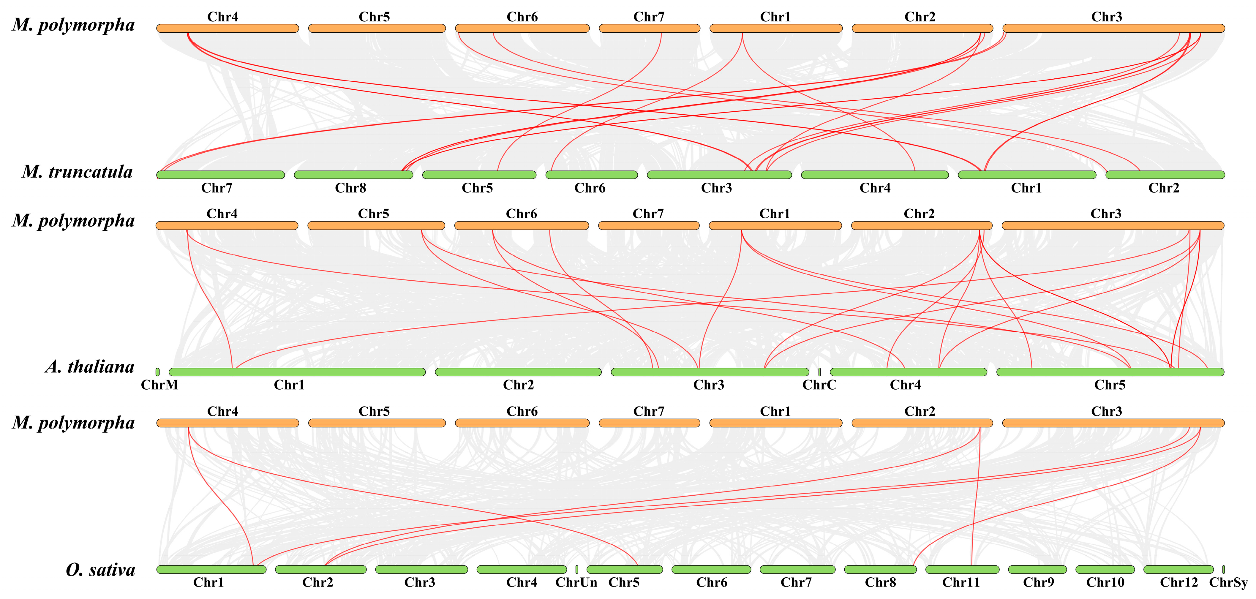 Plants 12 01948 g005 Plants 12 01948 g005
