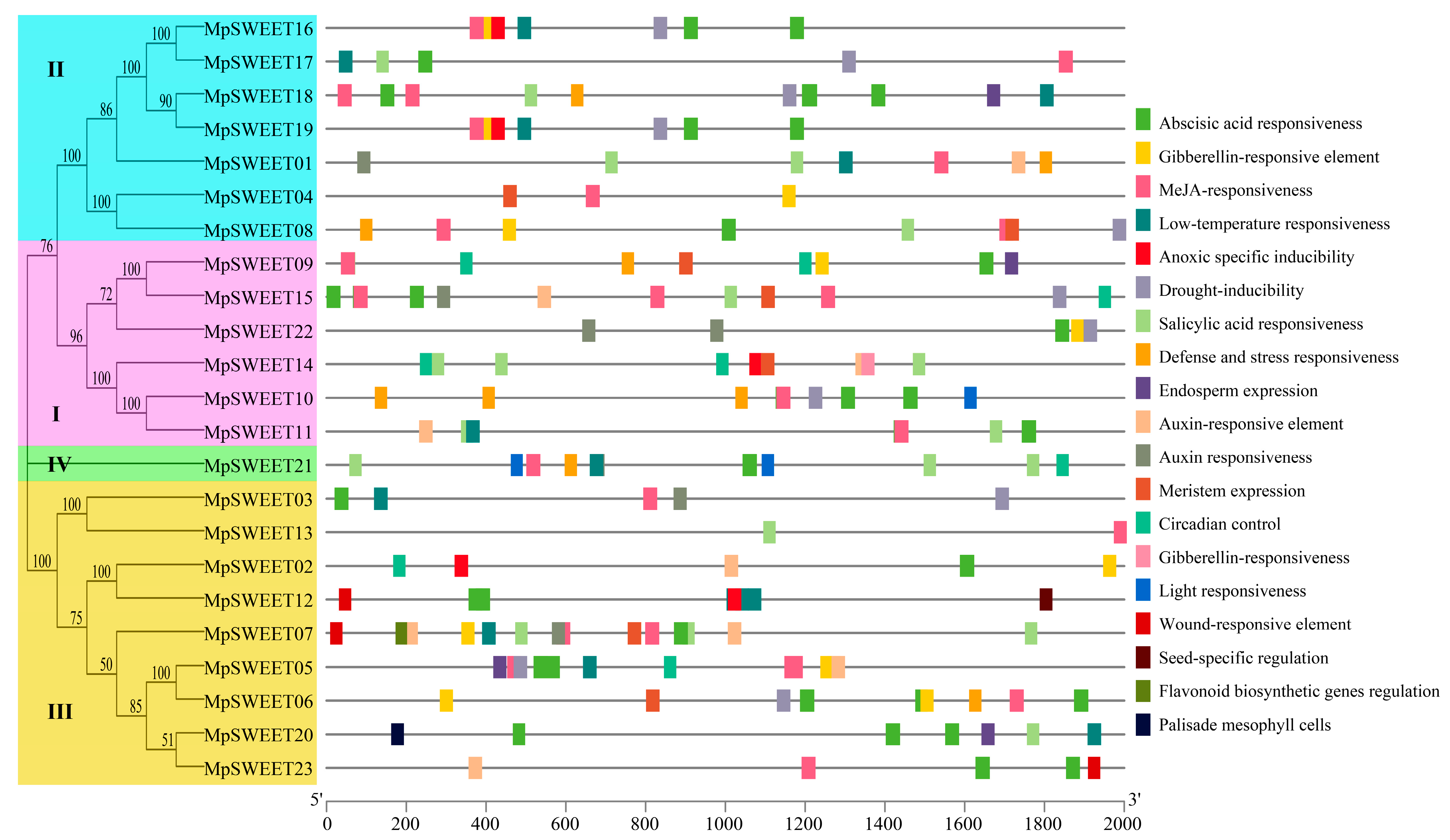 Plants 12 01948 g006 Plants 12 01948 g006