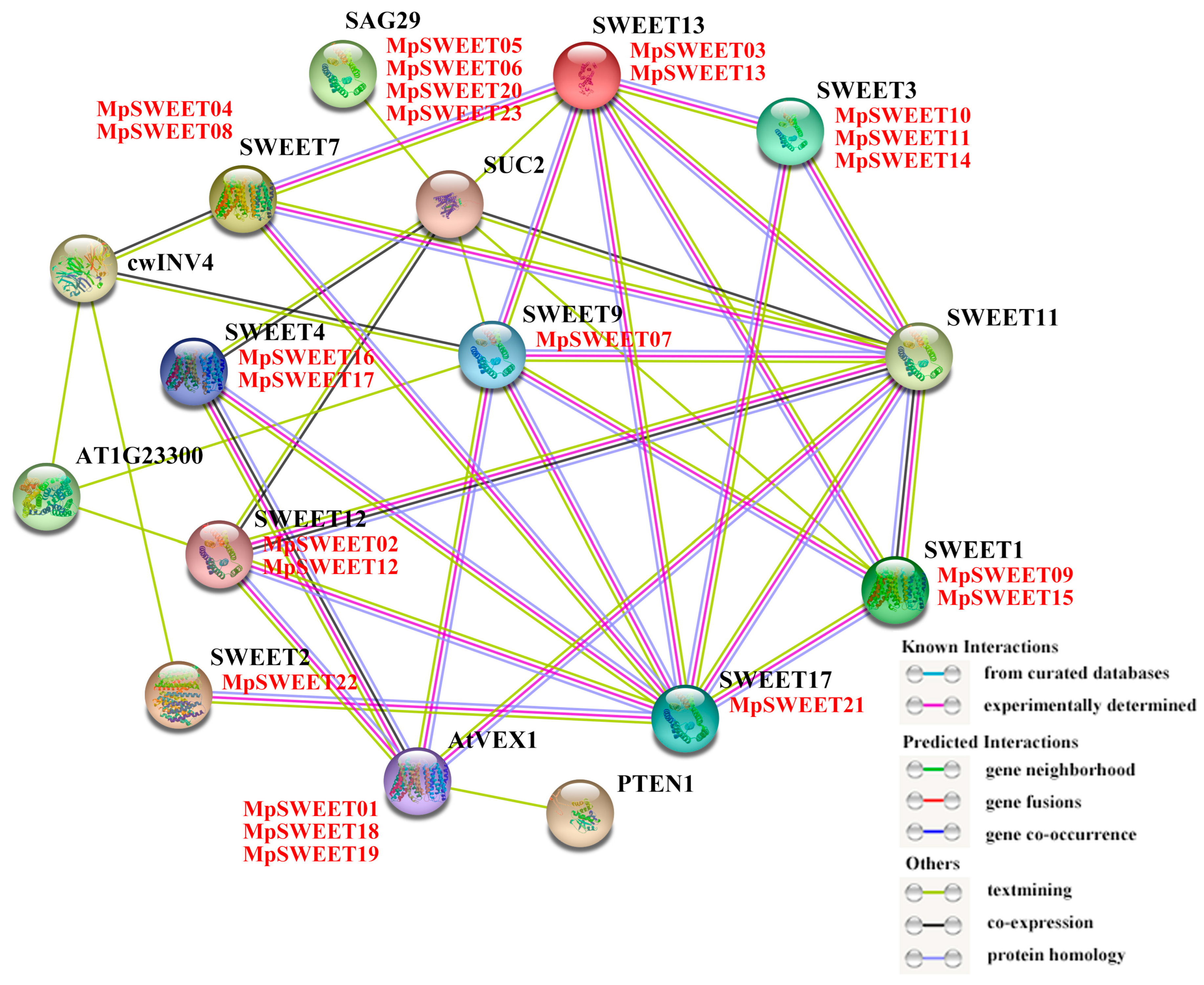 Plants 12 01948 g007 Plants 12 01948 g007