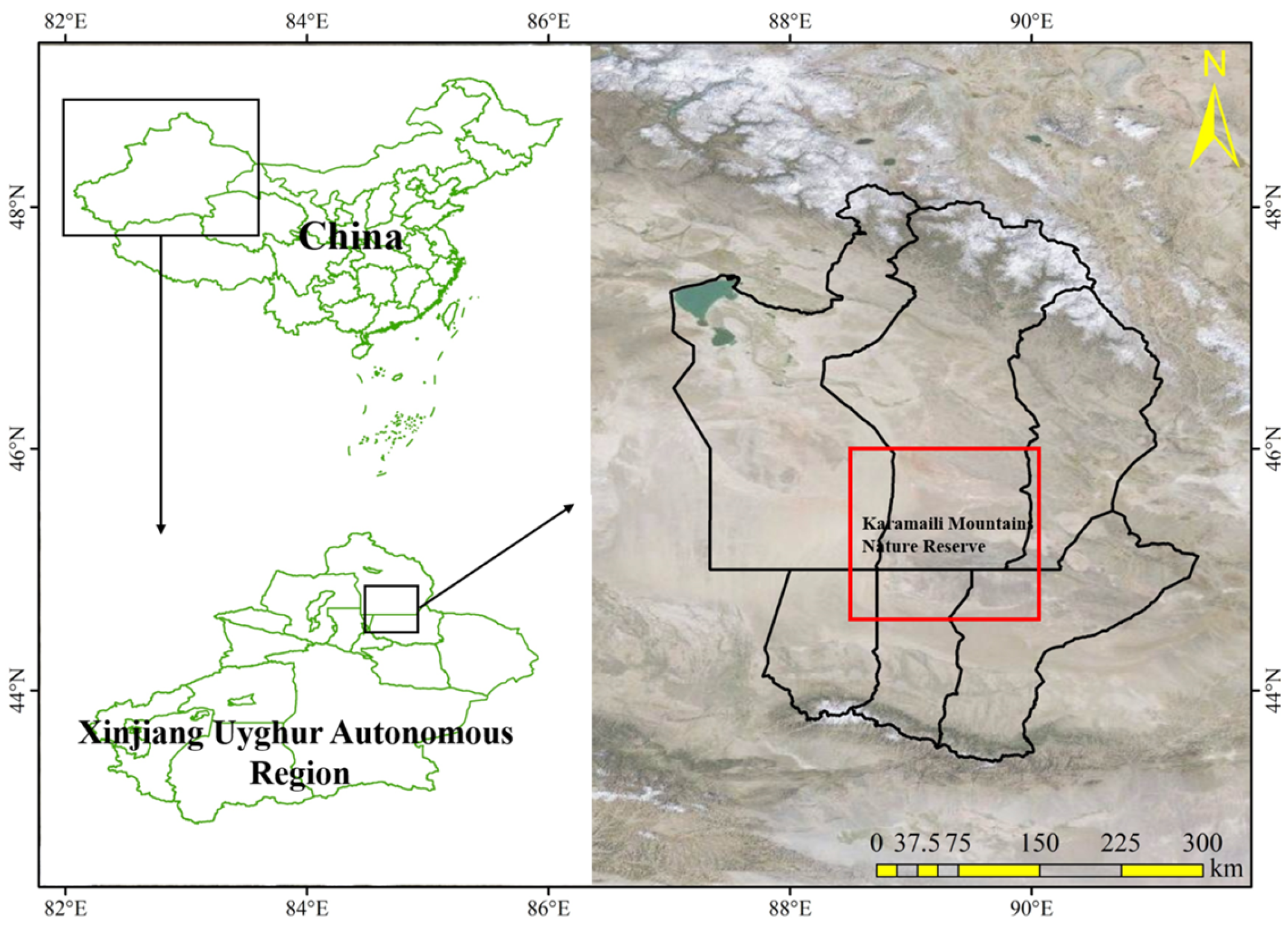 Plants 12 01950 g006