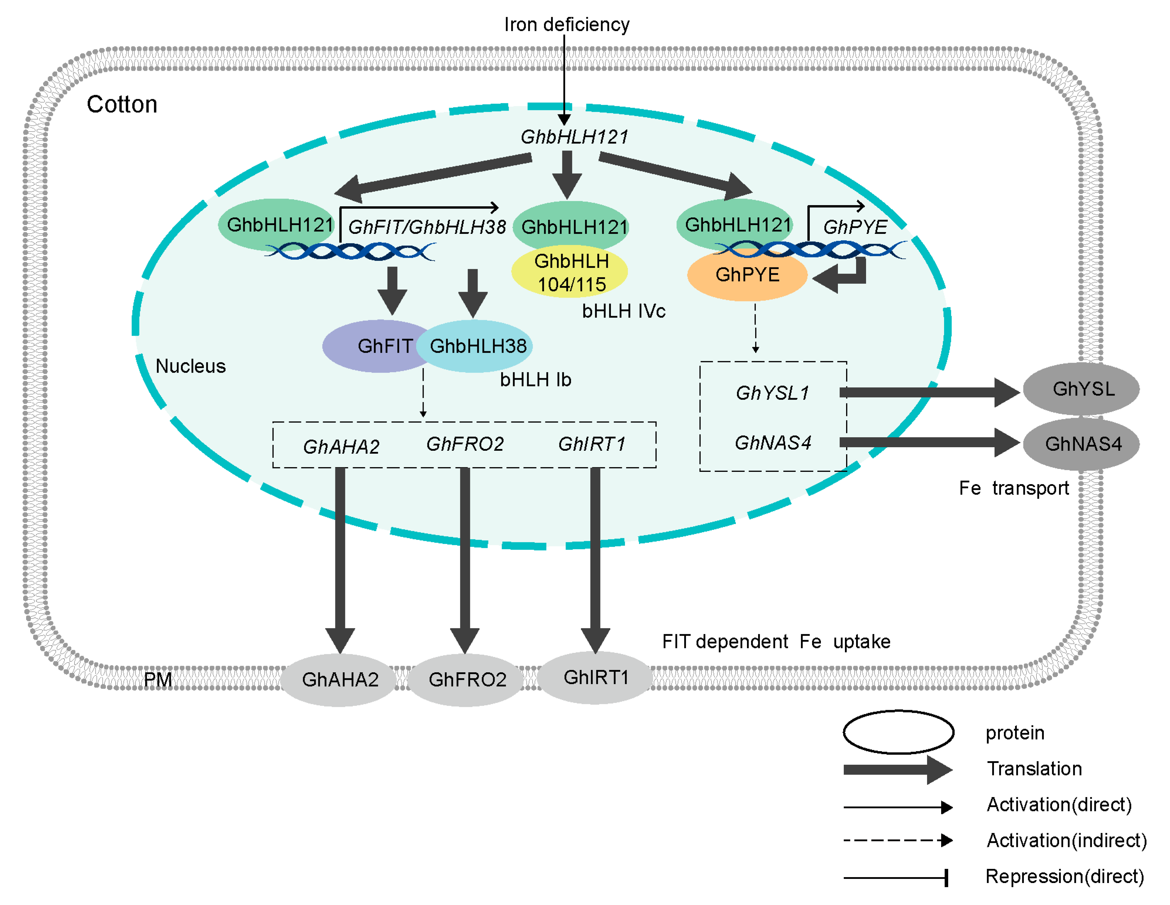 Plants 12 01955 g008