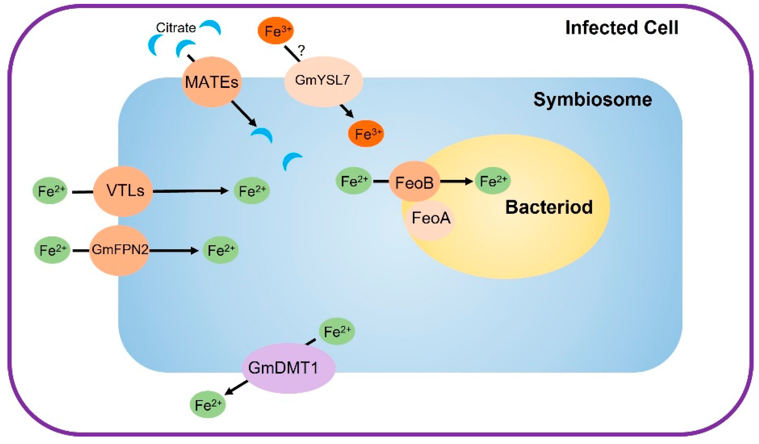 Plants 12 01958 g002 Plants 12 01958 g002