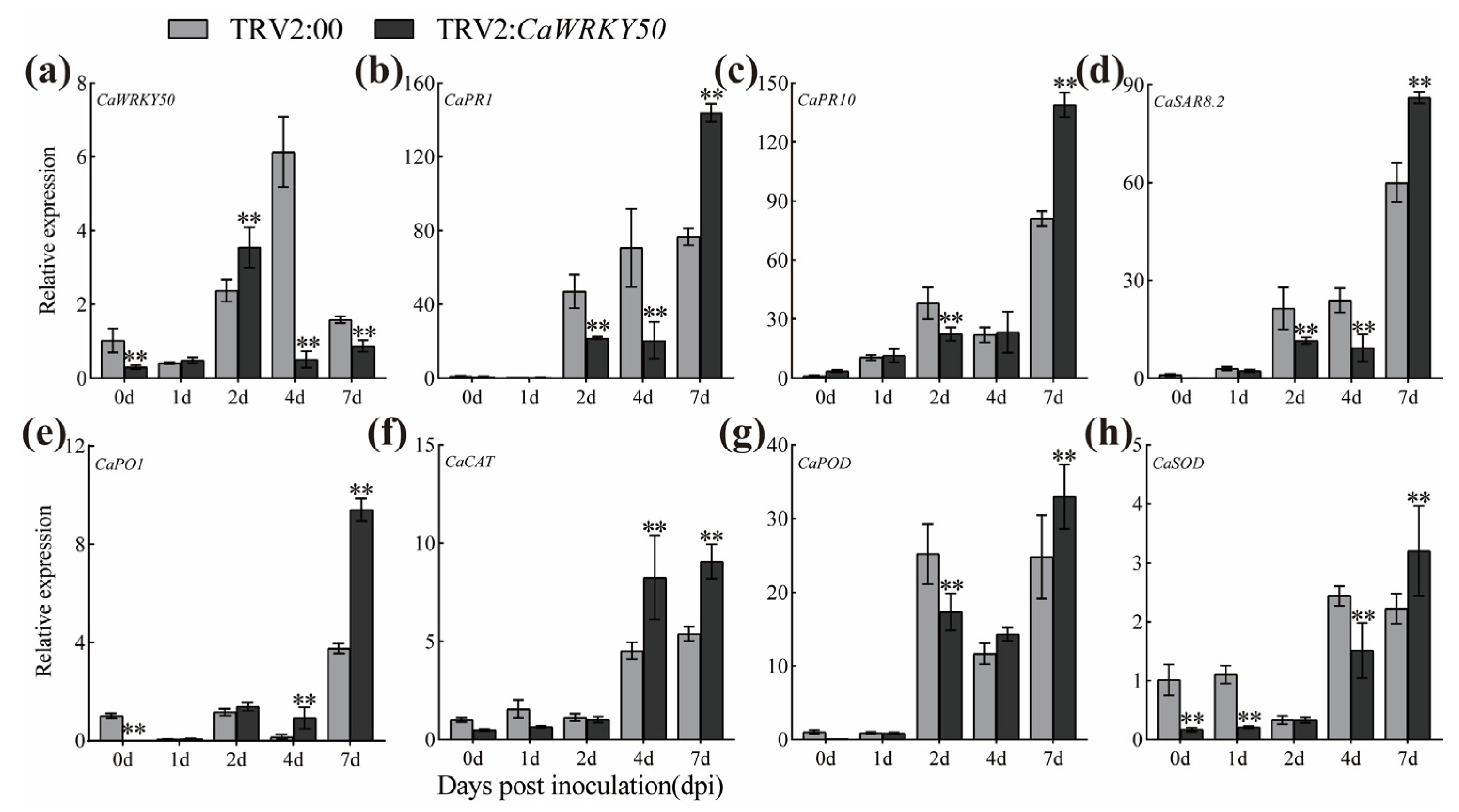 Plants 12 01962 g003 Plants 12 01962 g003