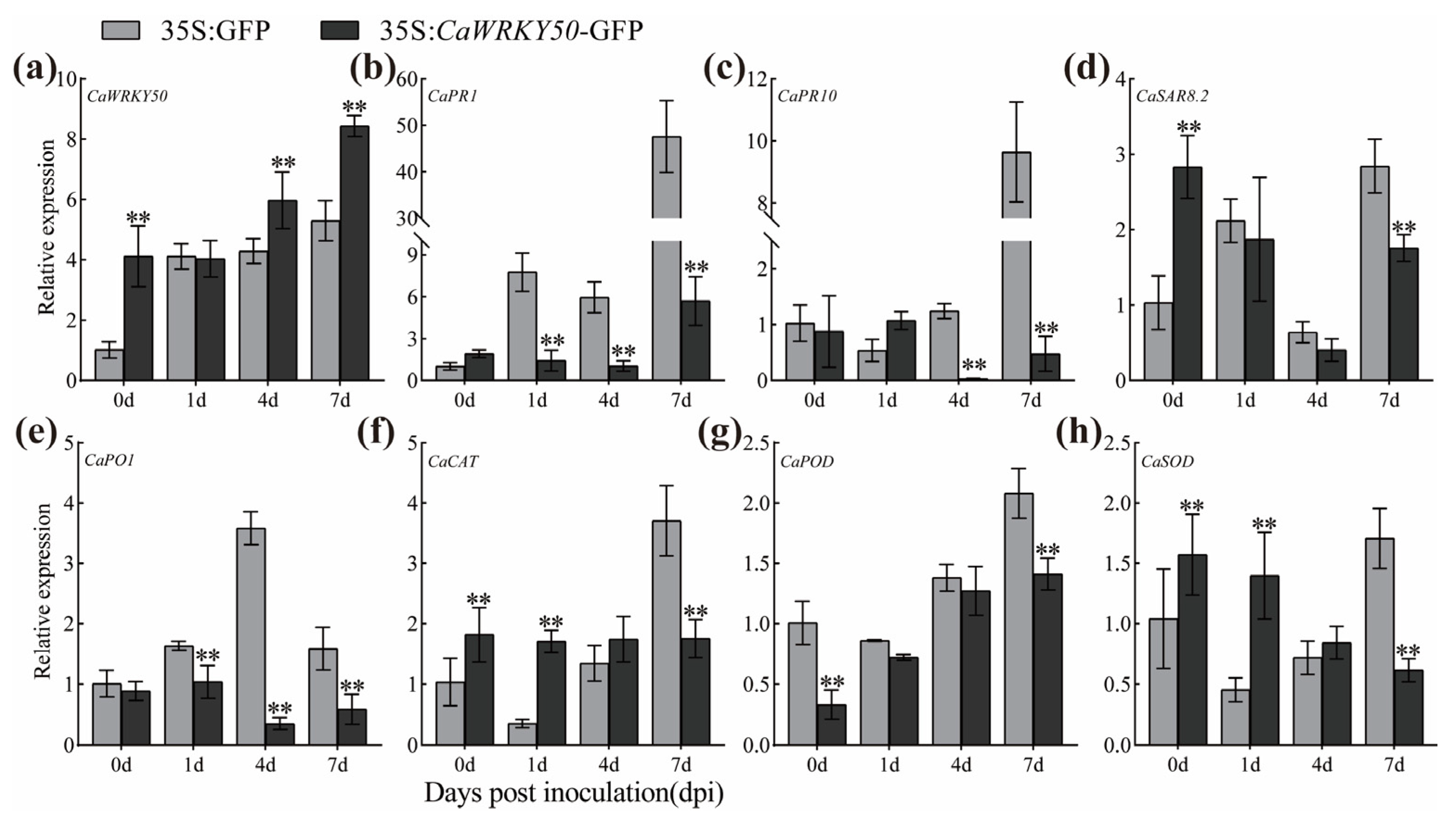 Plants 12 01962 g005 Plants 12 01962 g005