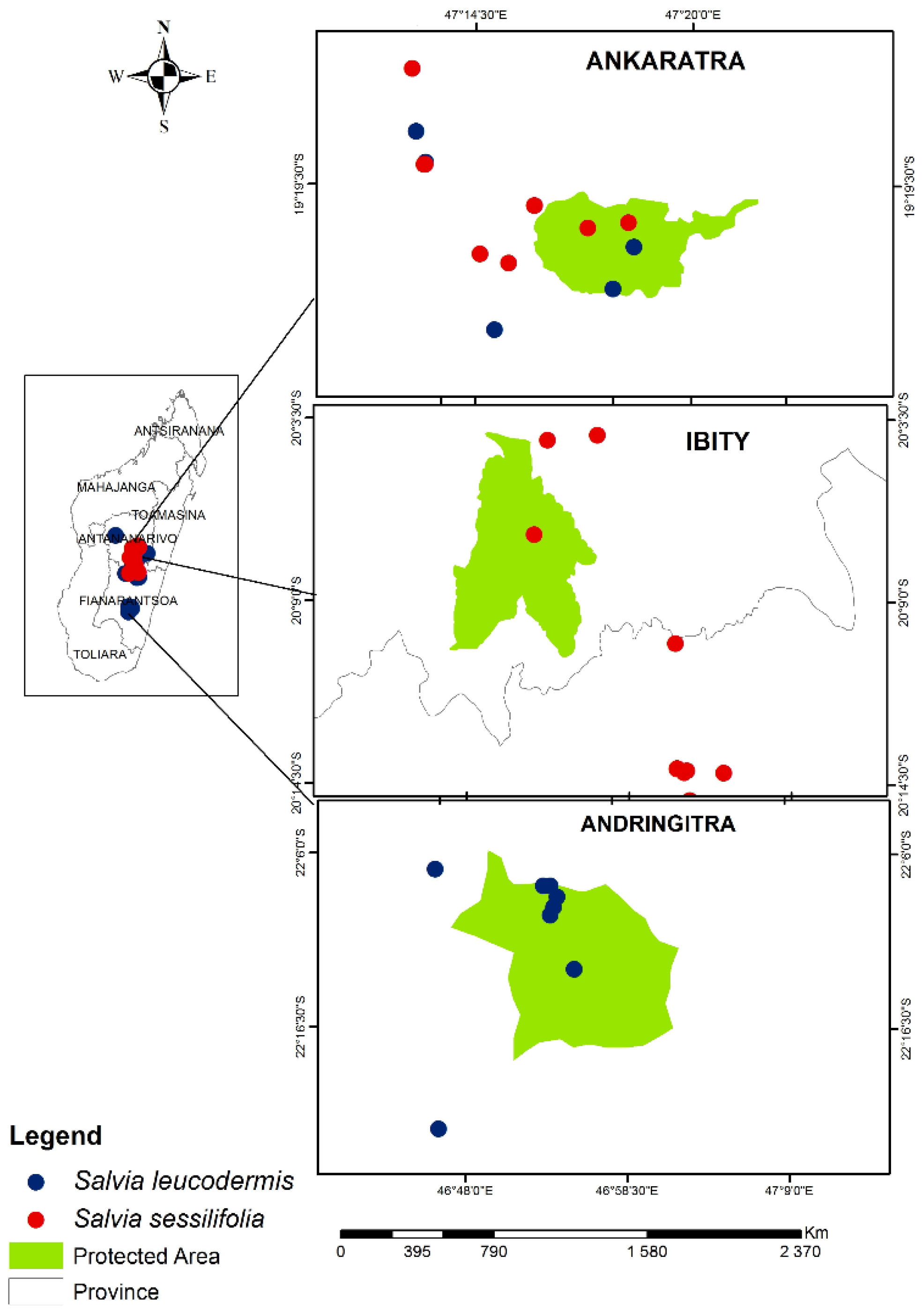 Plants 12 01967 g002