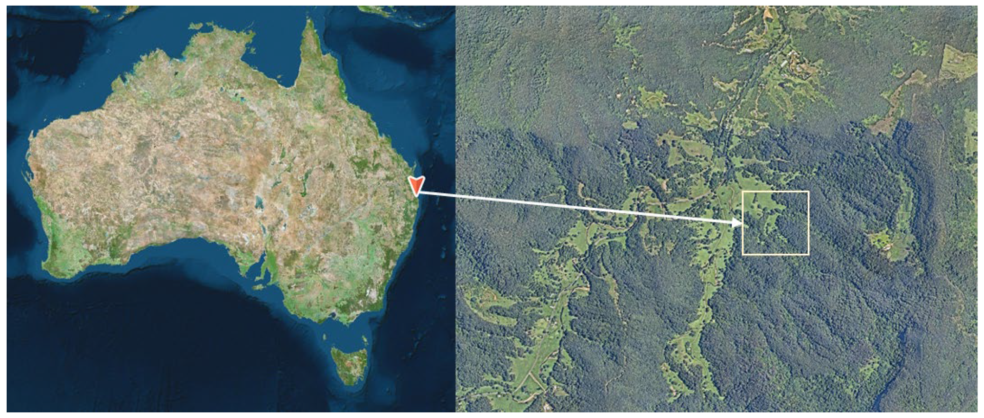 Plants 12 01970 g006 Plants 12 01970 g006