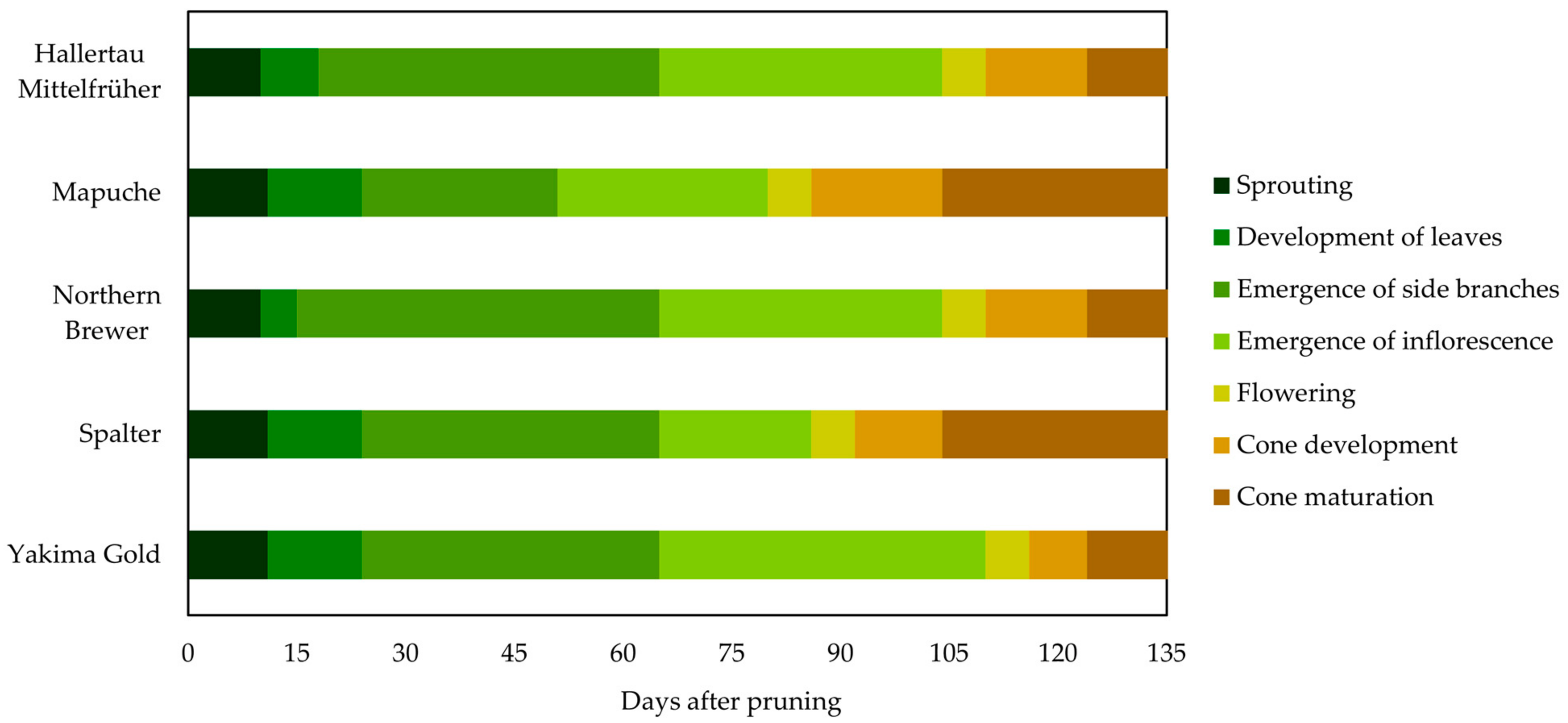 Plants 12 01971 g001 Plants 12 01971 g001