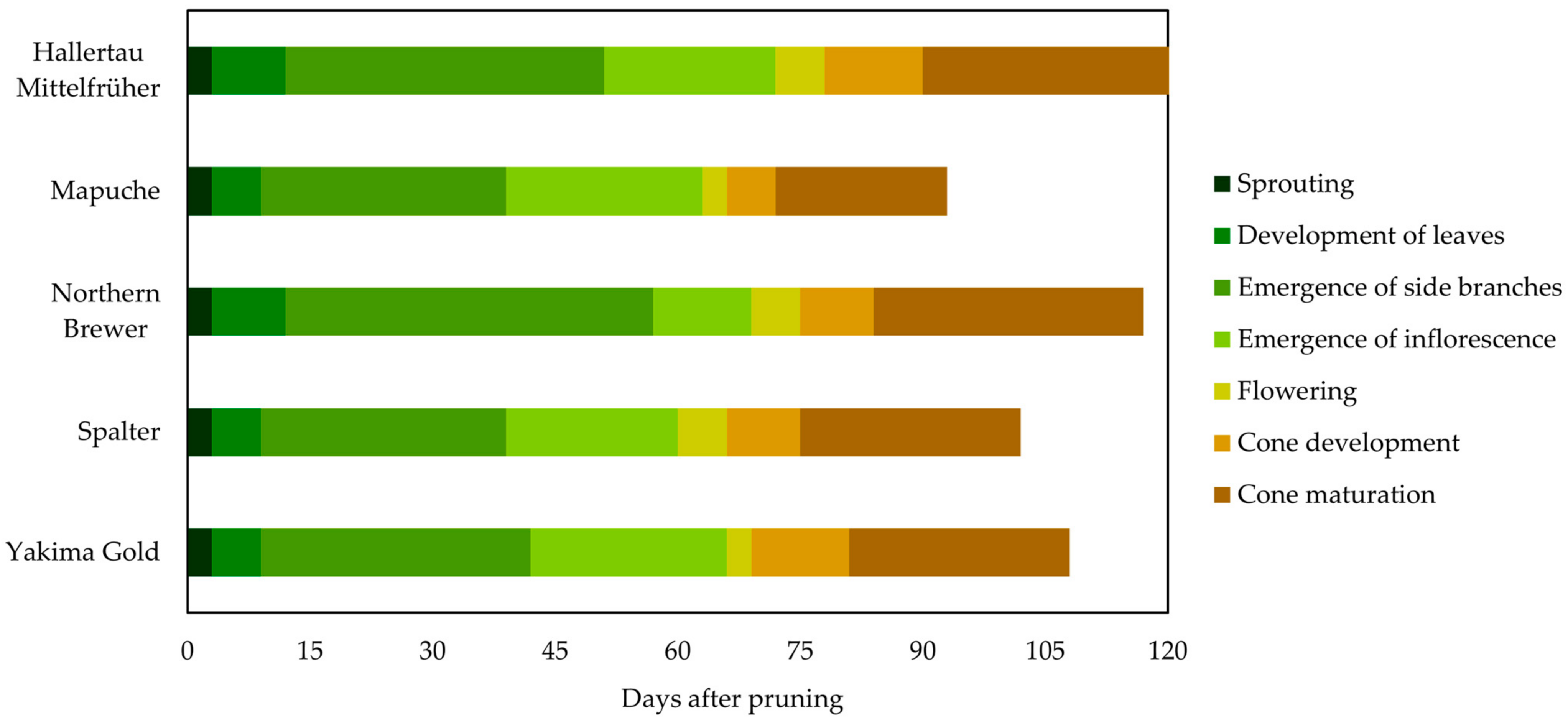 Plants 12 01971 g002 Plants 12 01971 g002