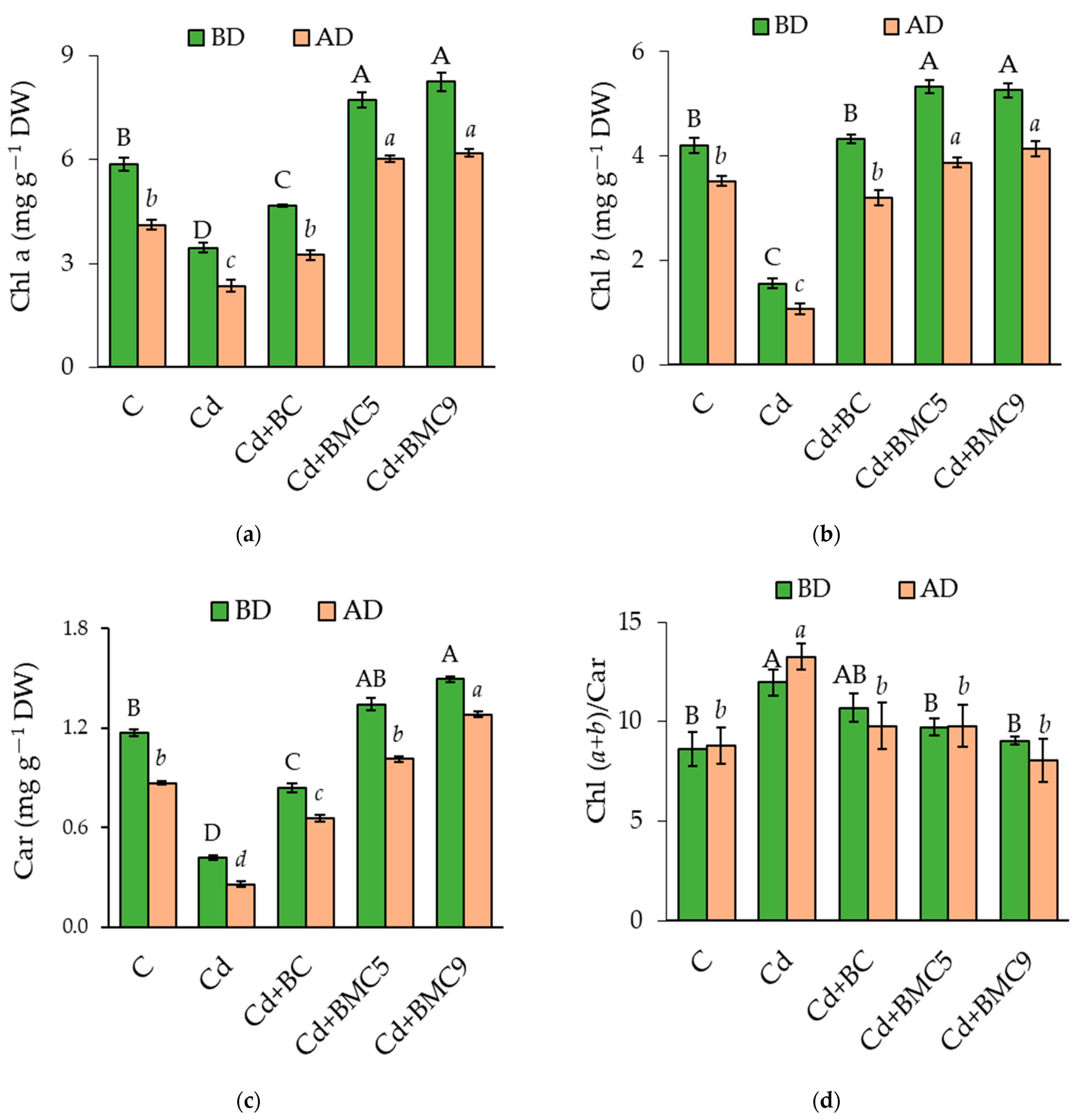 Plants 12 01973 g002