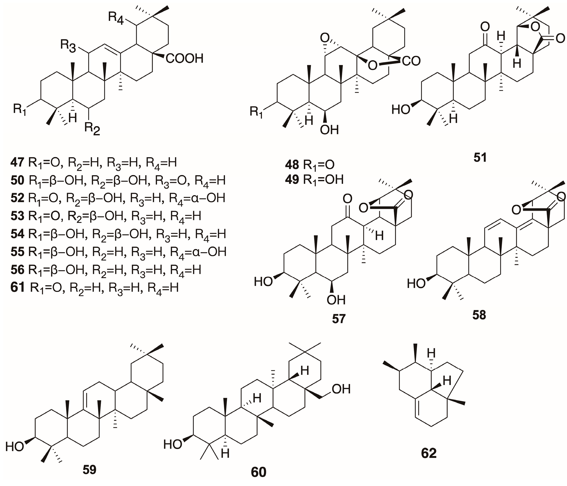 Plants 12 01976 g003 Plants 12 01976 g003