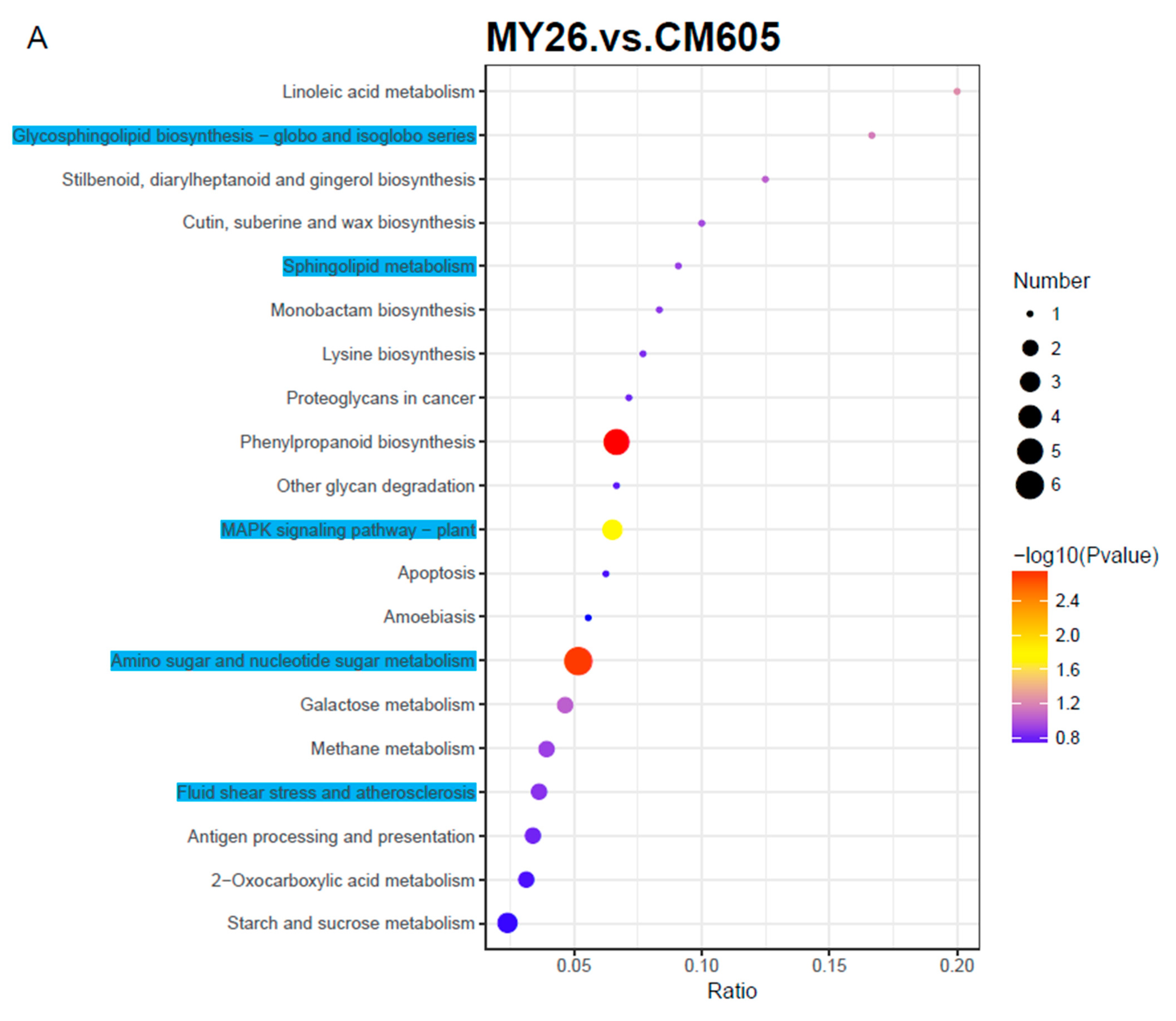 Plants 12 01979 g004a Plants 12 01979 g004a