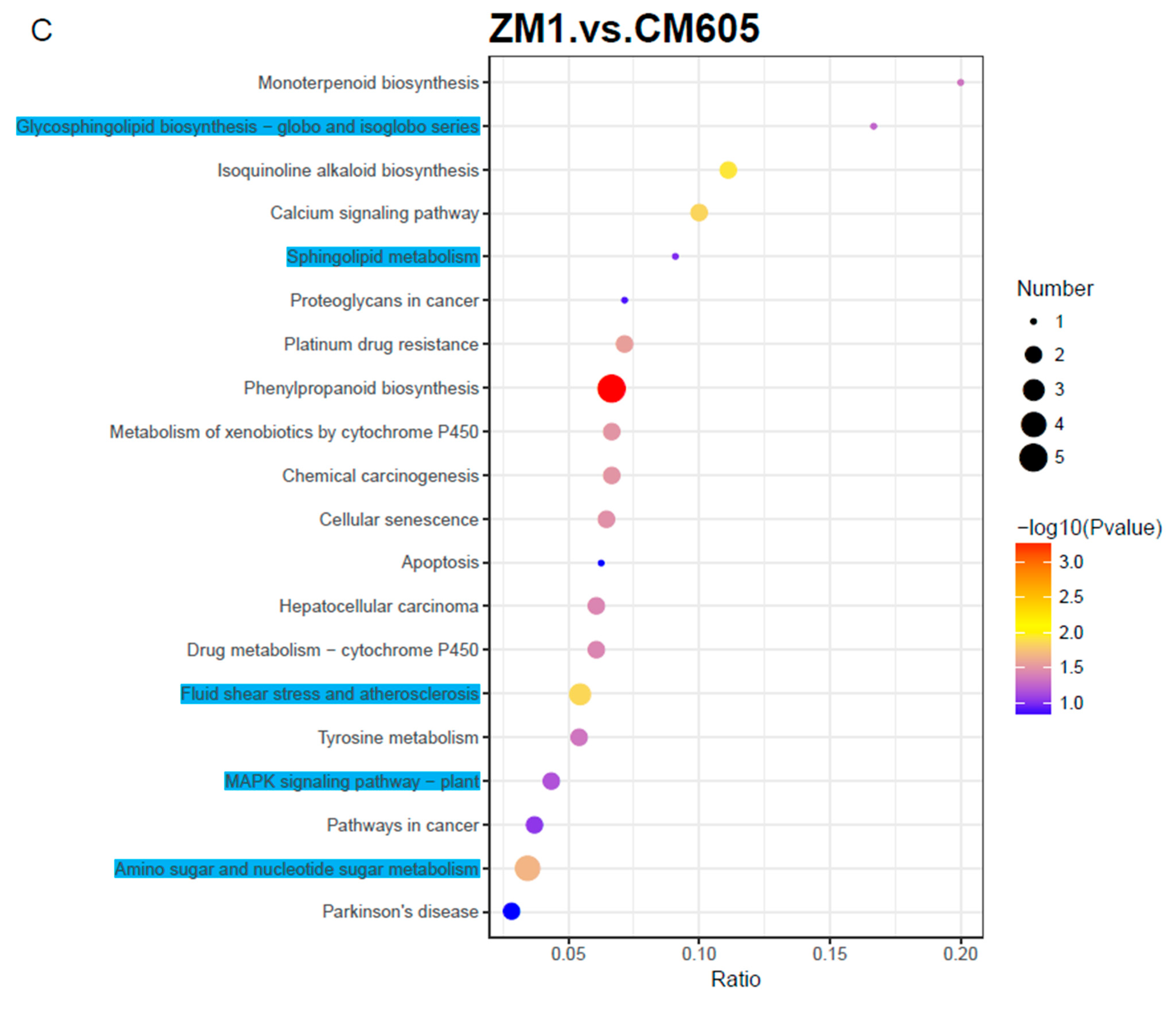 Plants 12 01979 g004c Plants 12 01979 g004c