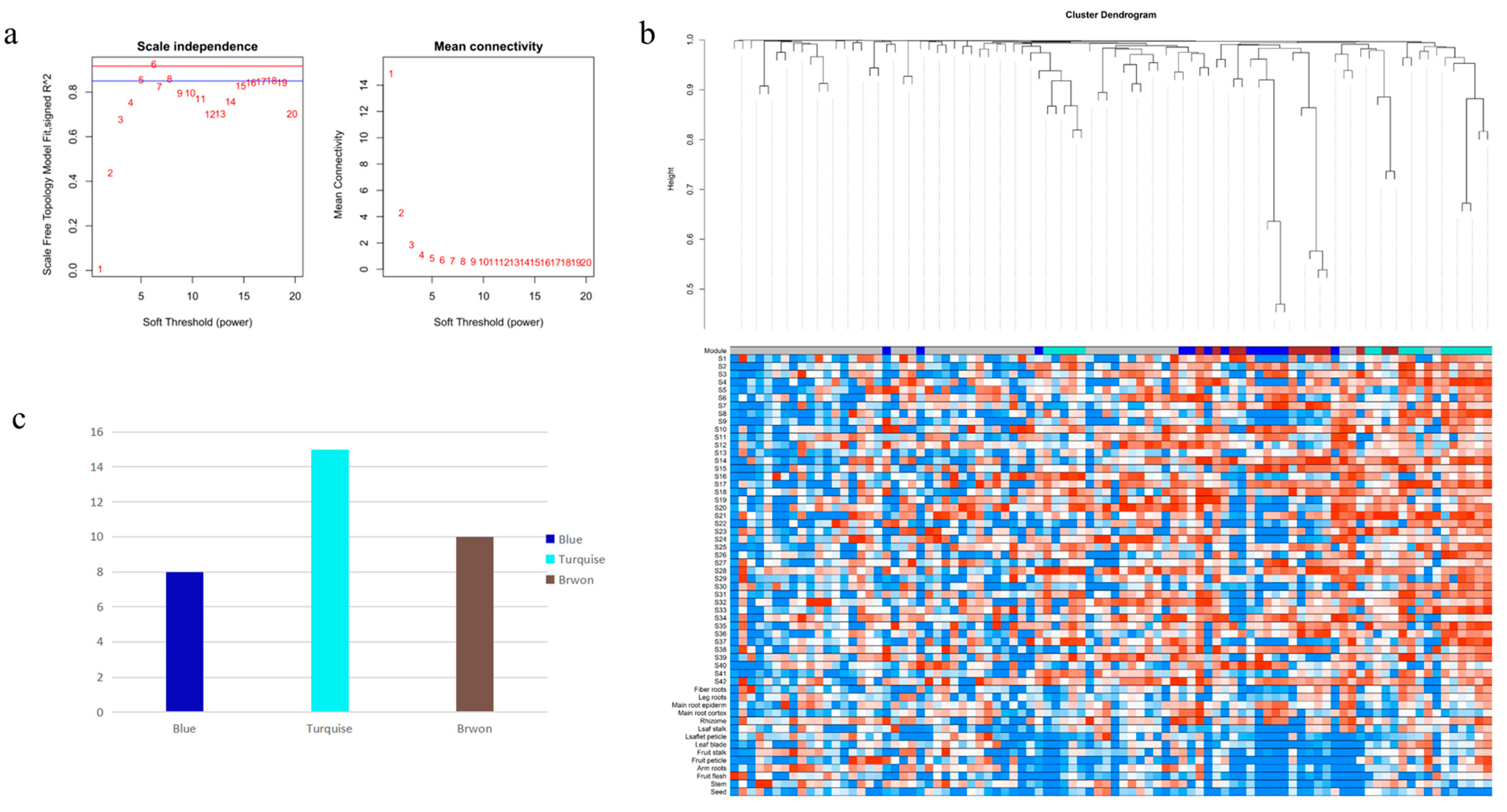 Plants 12 01980 g001 Plants 12 01980 g001