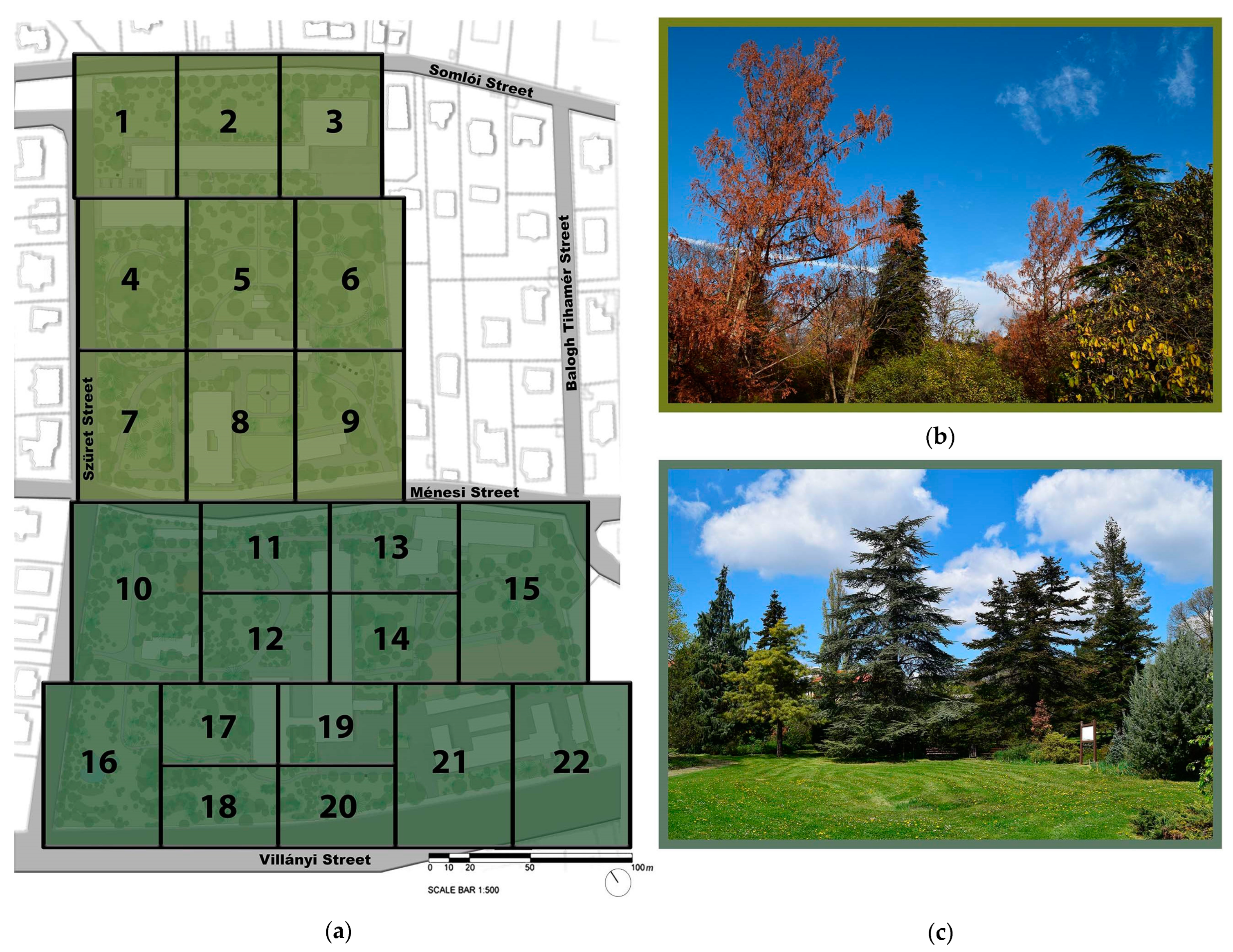 Plants 12 01989 g012 Plants 12 01989 g012