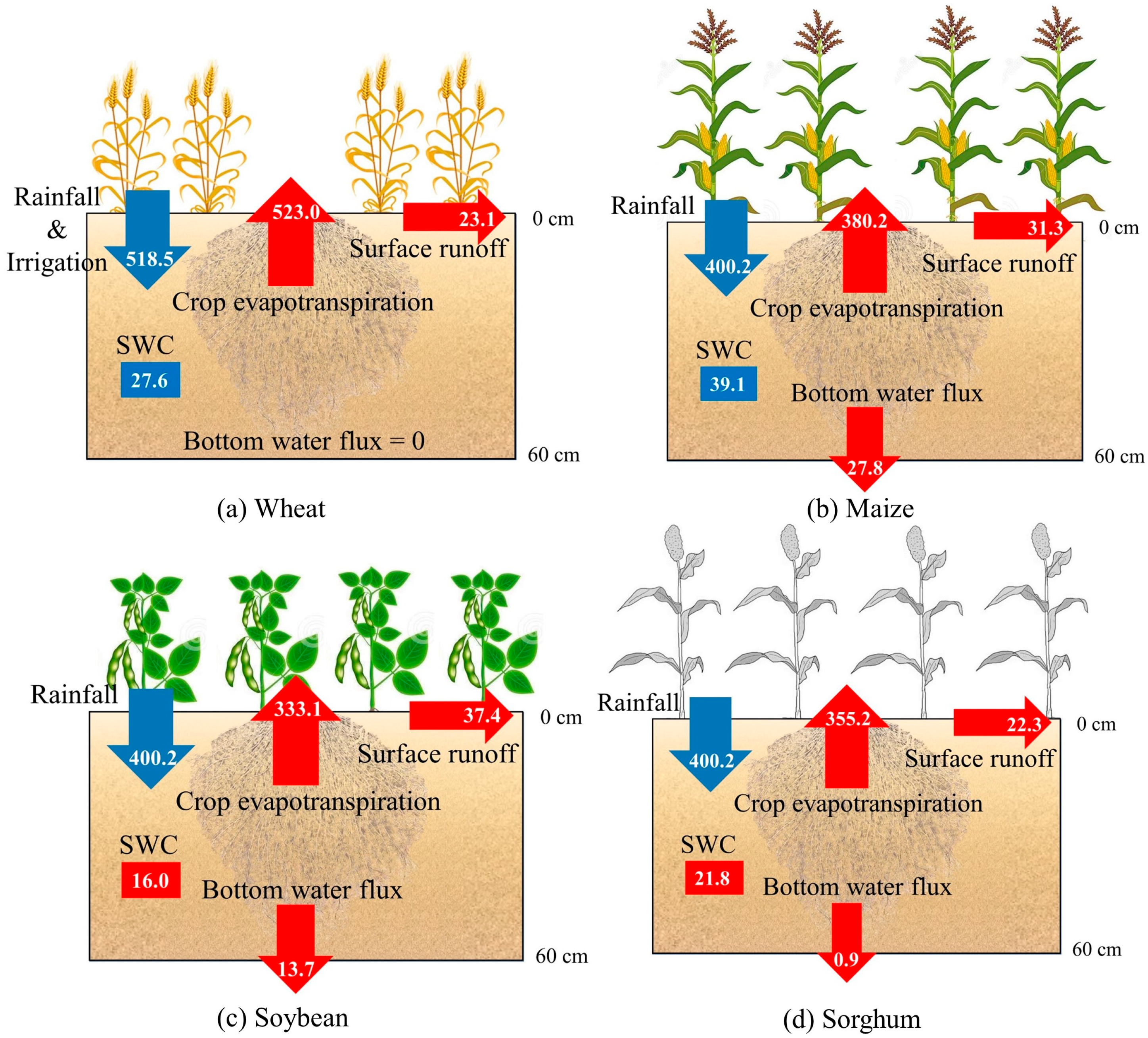 Plants 12 01990 g002 Plants 12 01990 g002