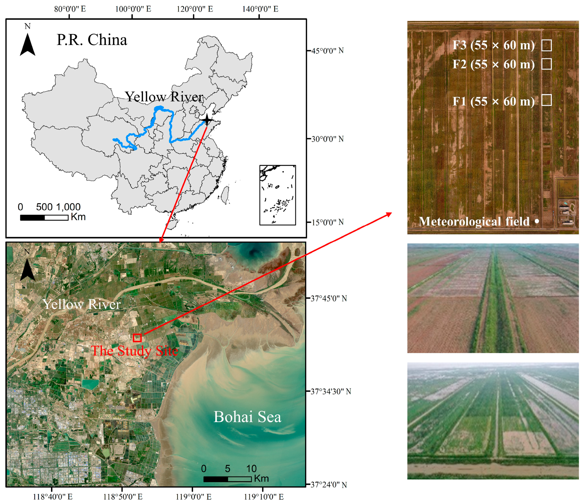 Plants 12 01990 g005 Plants 12 01990 g005