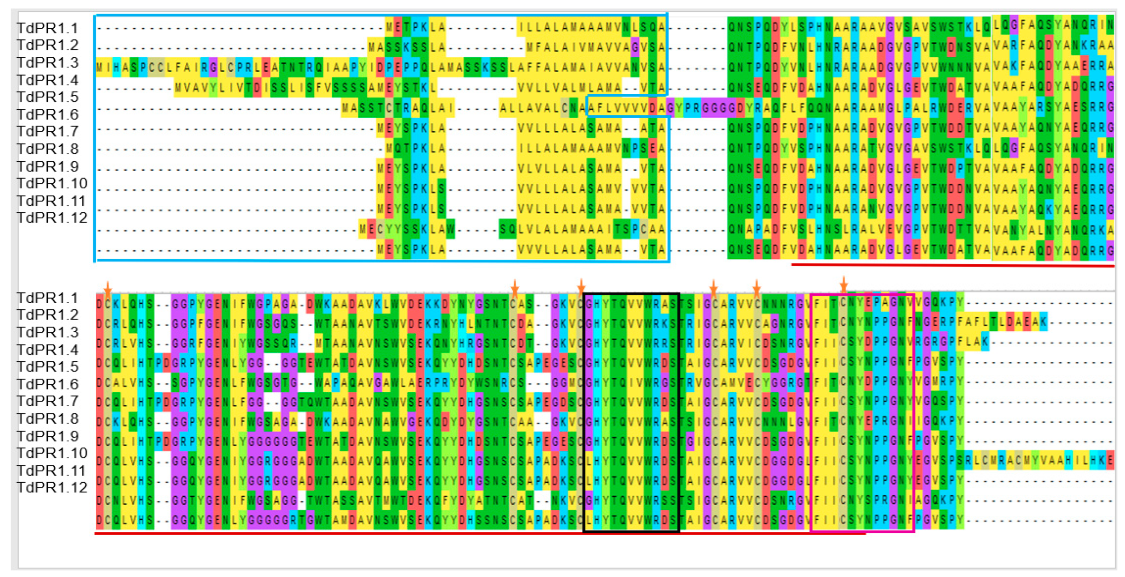 Plants 12 01998 g004 Plants 12 01998 g004